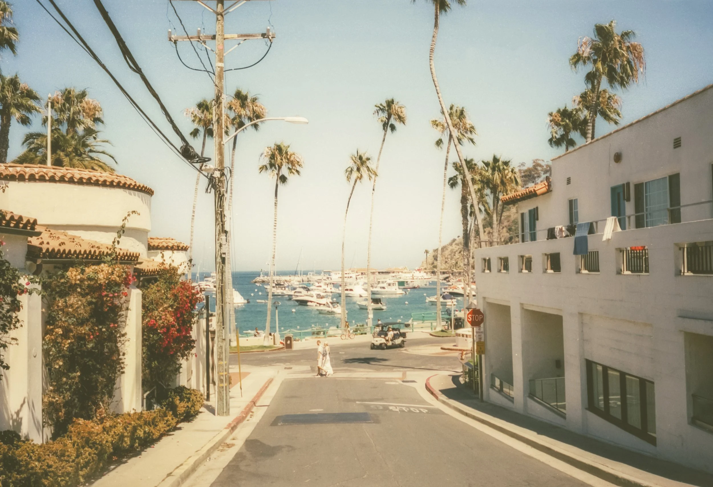 Catalina-8.jpg