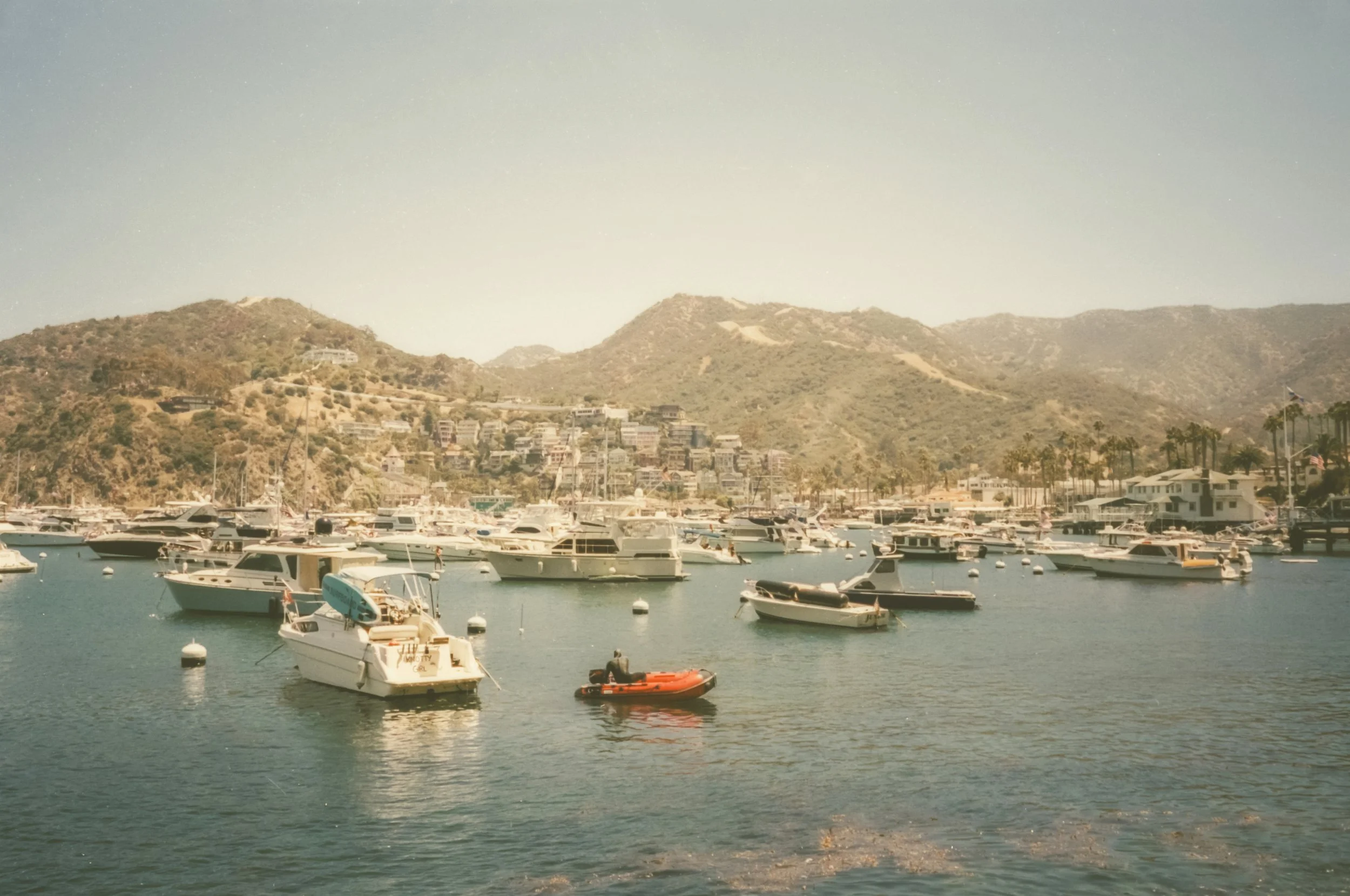 Catalina-3.jpg