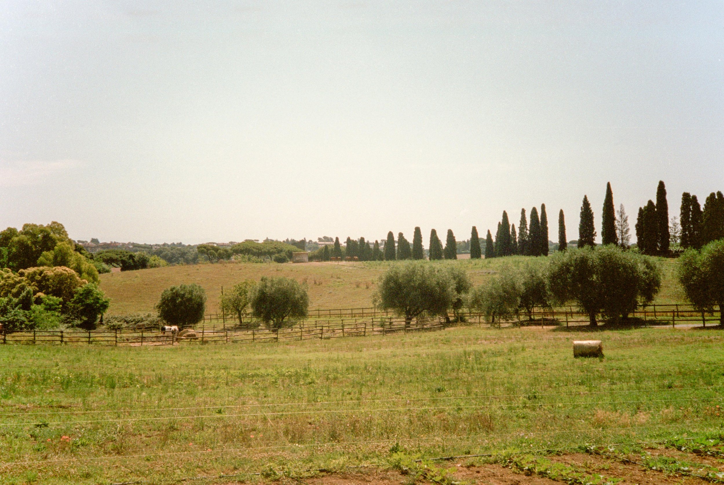 web-230.jpg