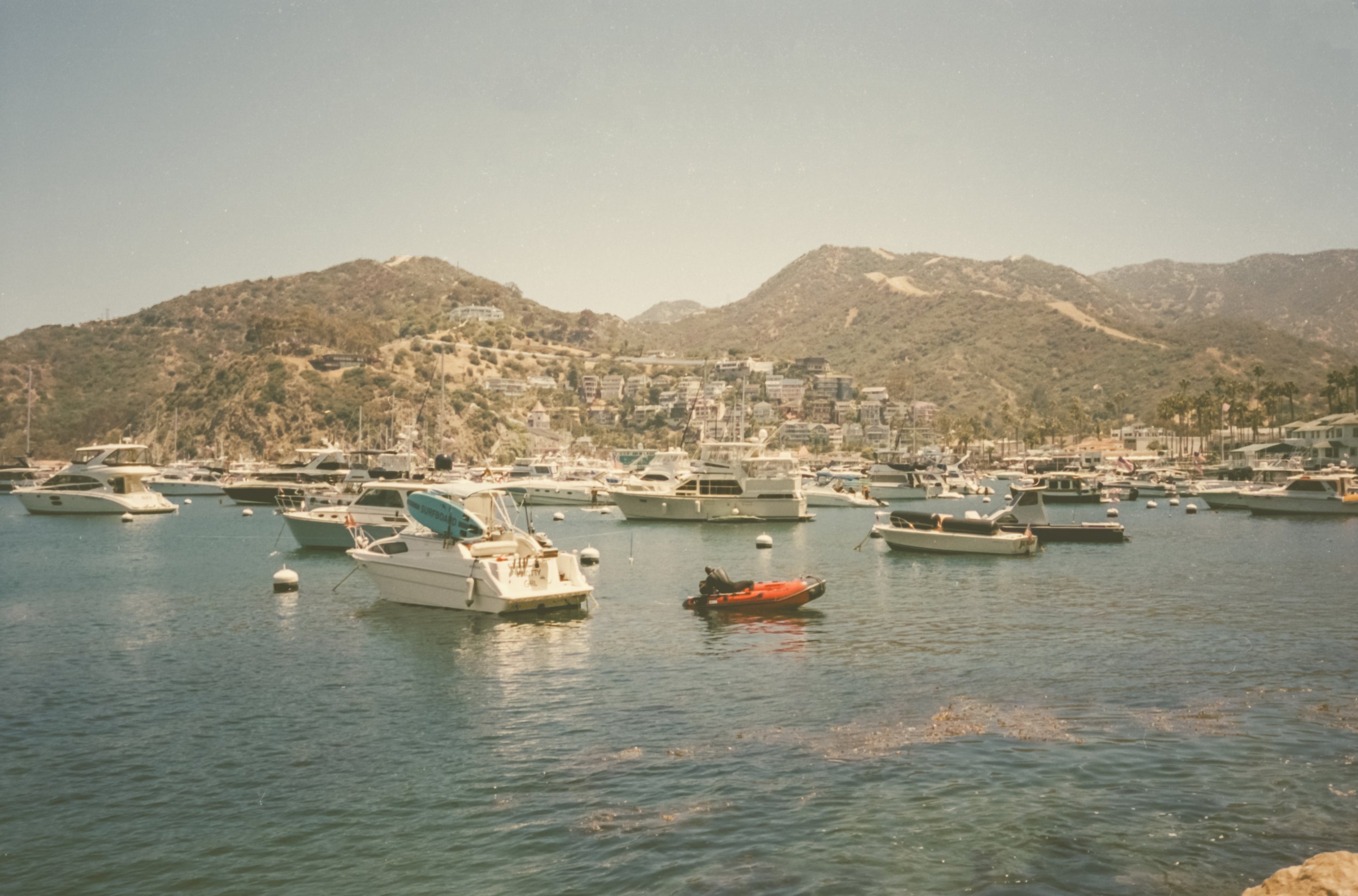 Catalina-2.jpg