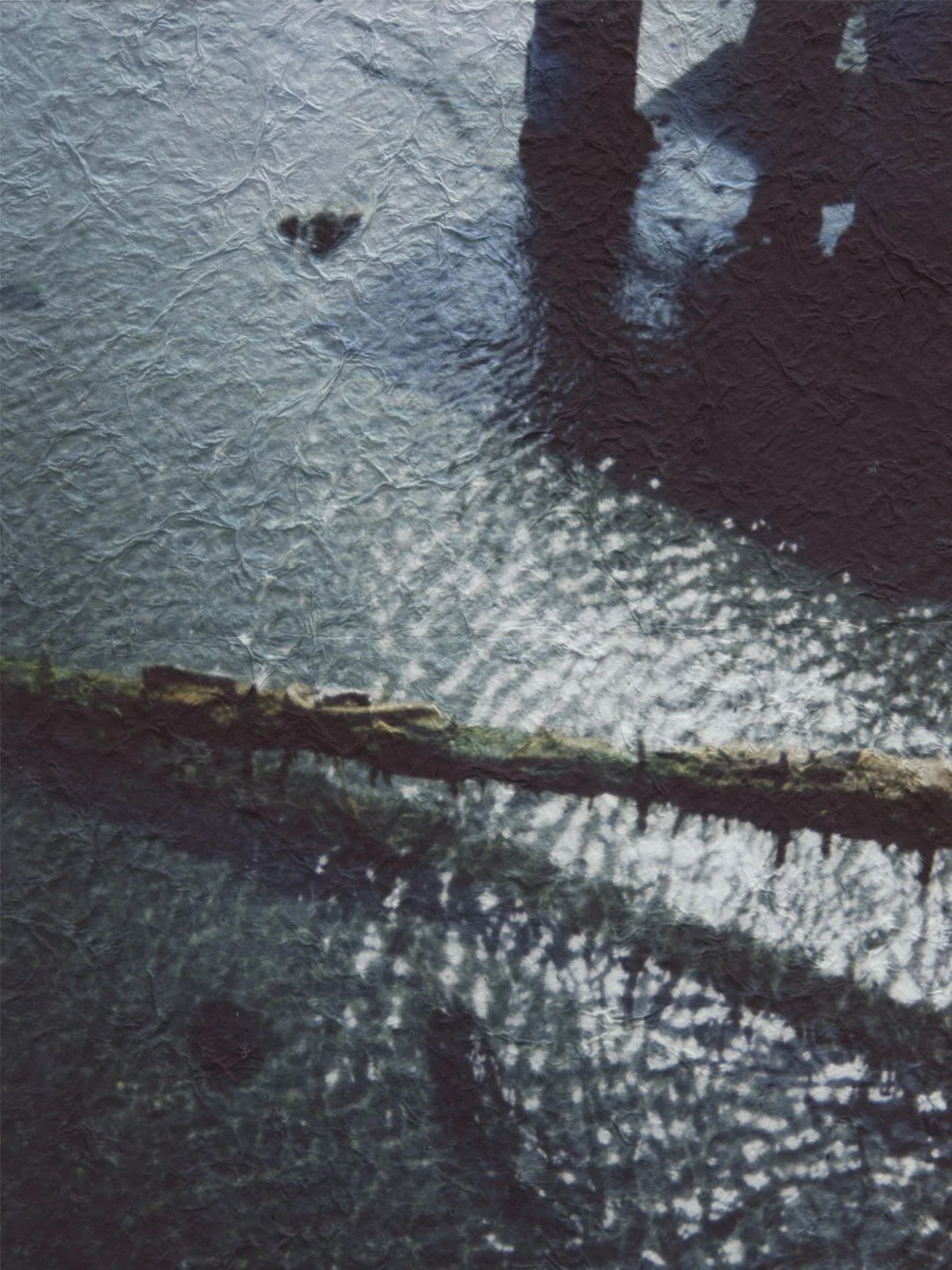 p7.jpg