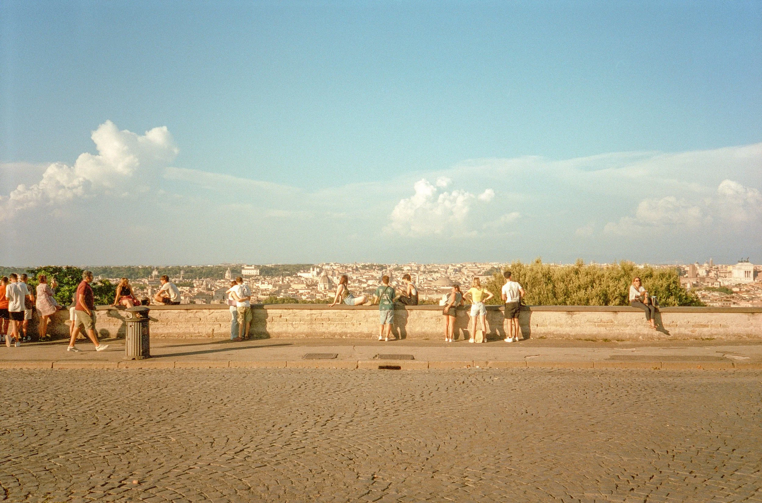 web-256.jpg