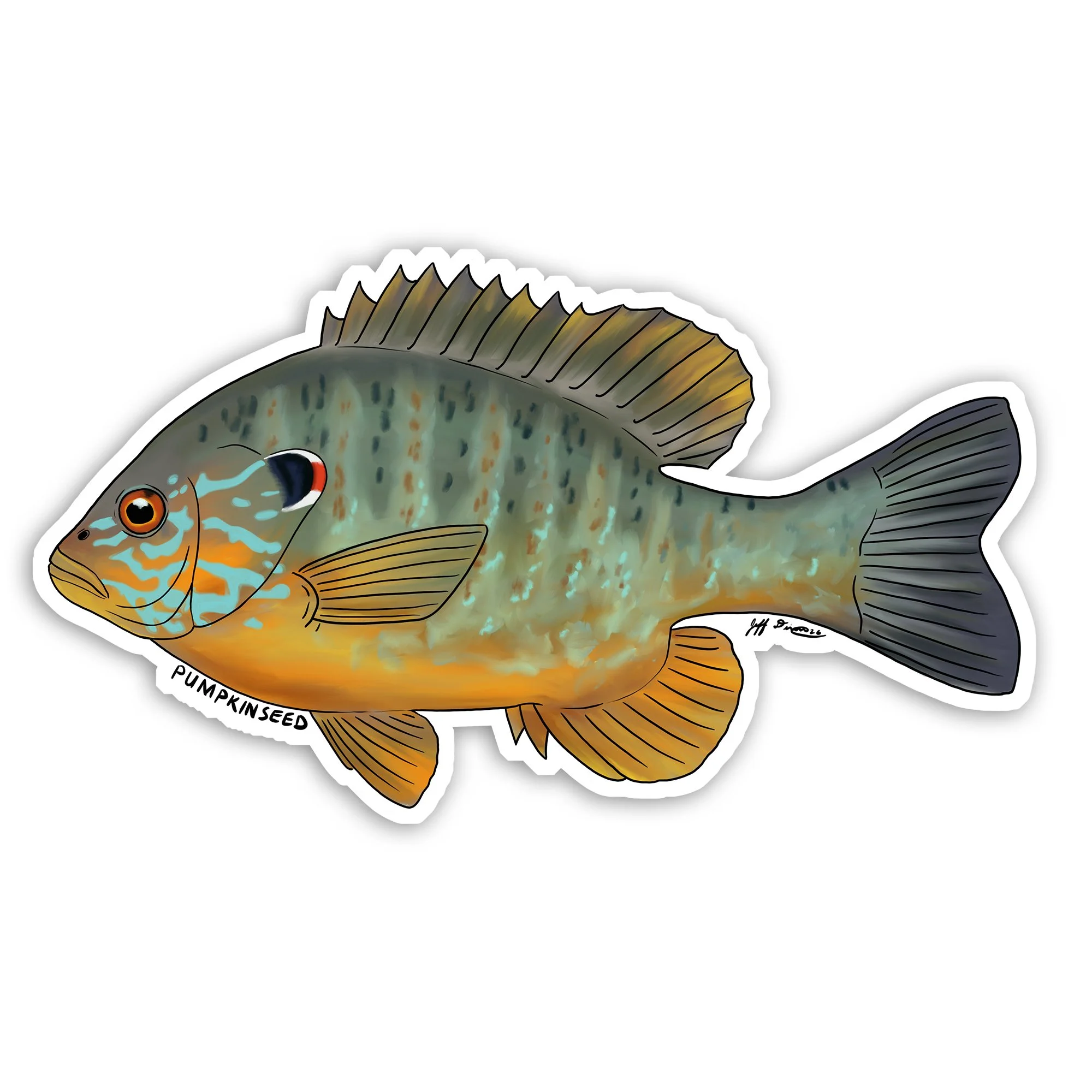 Pumpkinseed