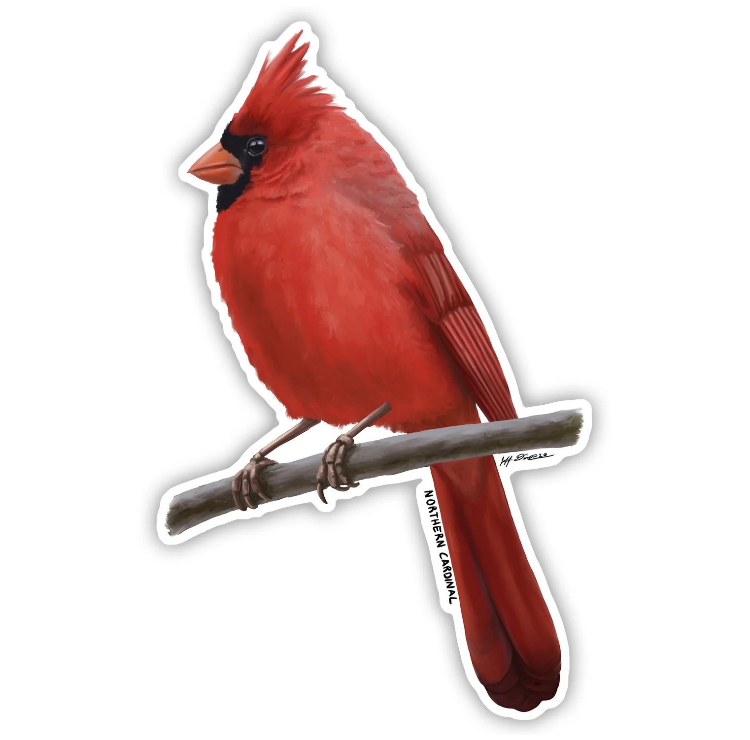 Northern Cardinal