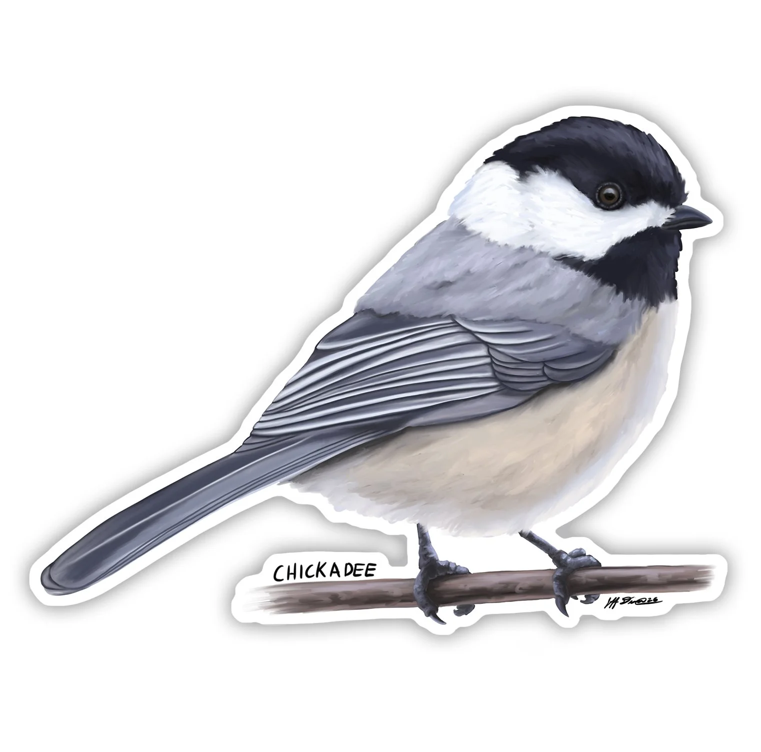 Black-Capped Chickadee