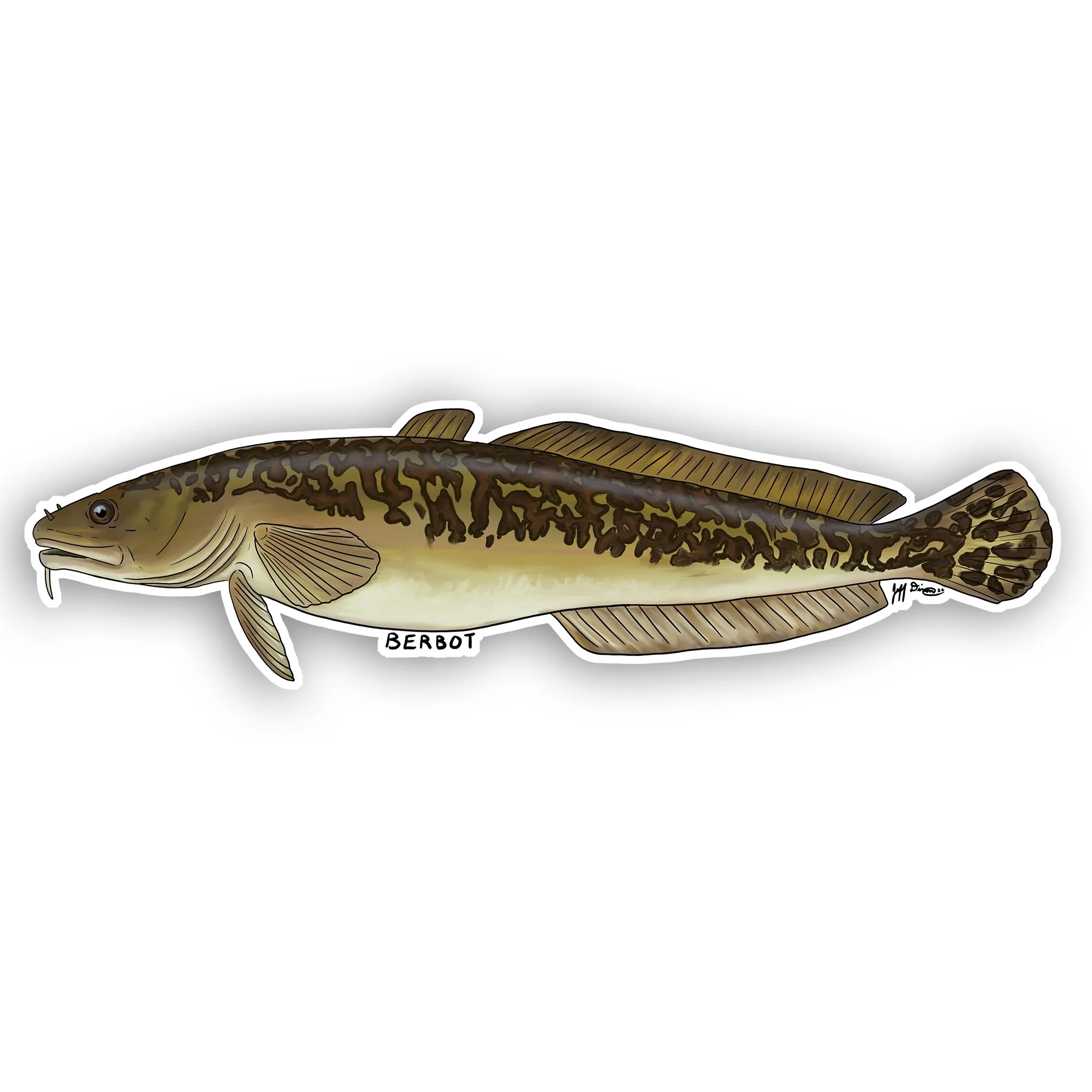 Burbot
