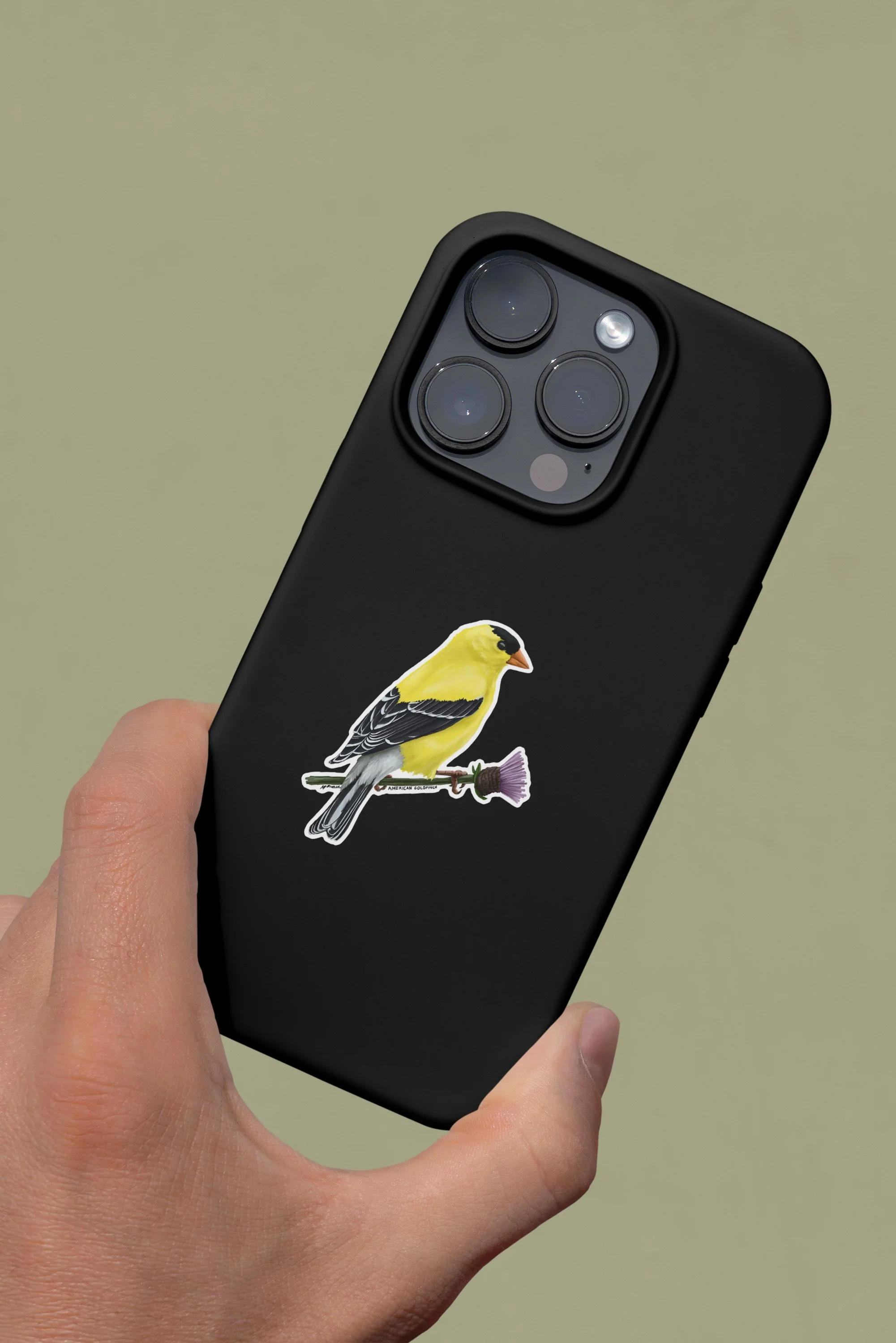 goldfinch_phone.jpg