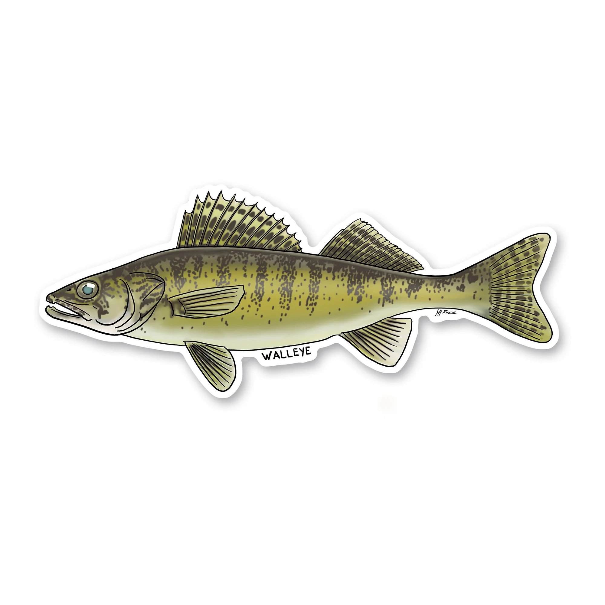Walleye