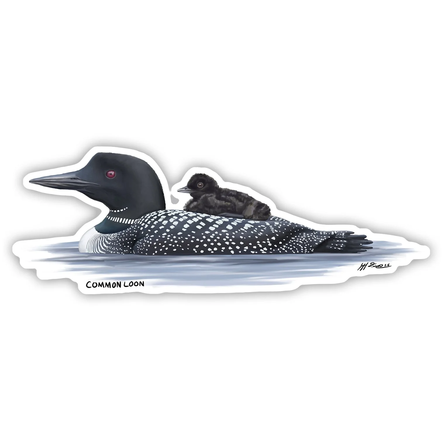 Common Loon with Chick