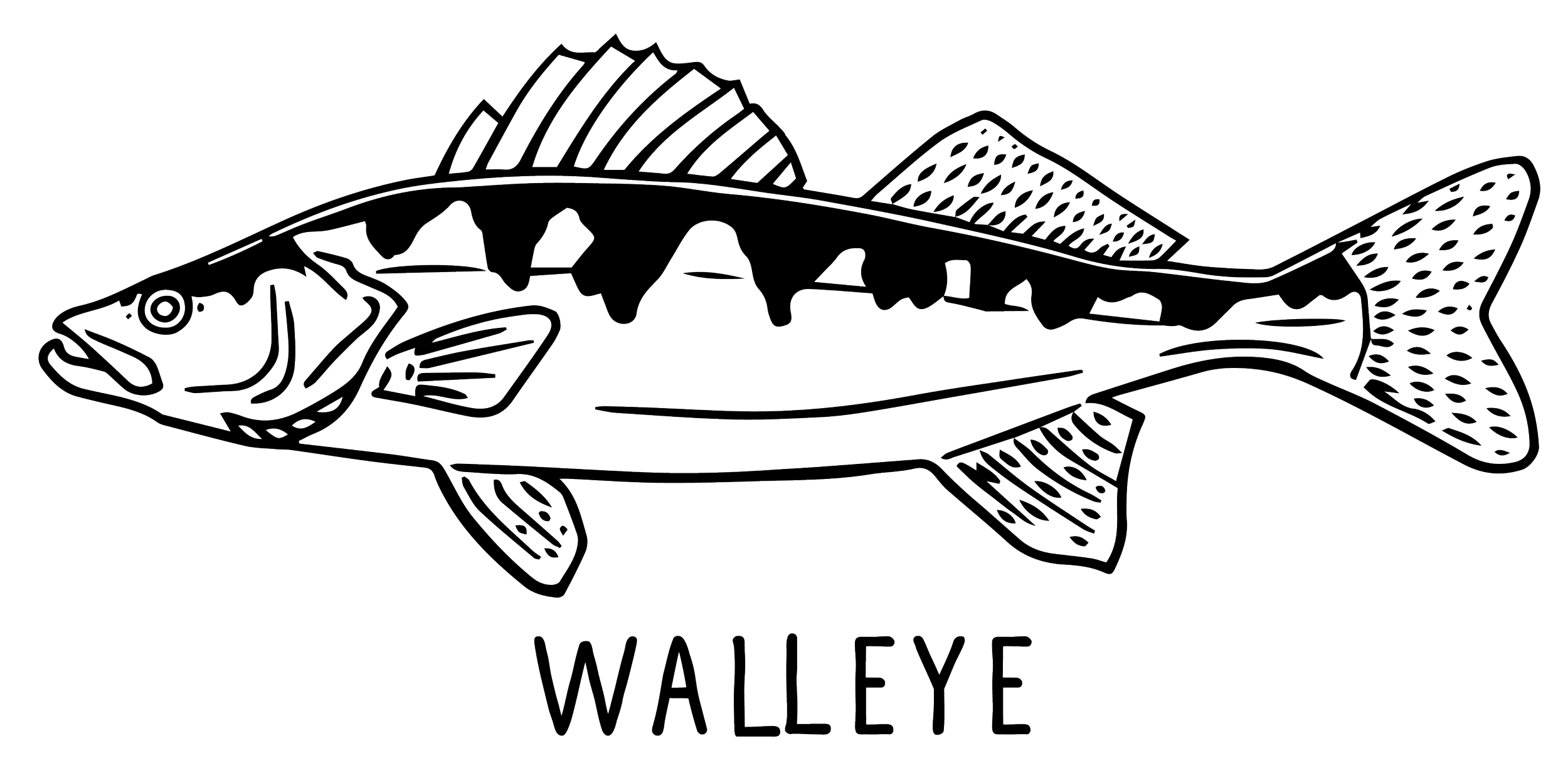 walleye.png