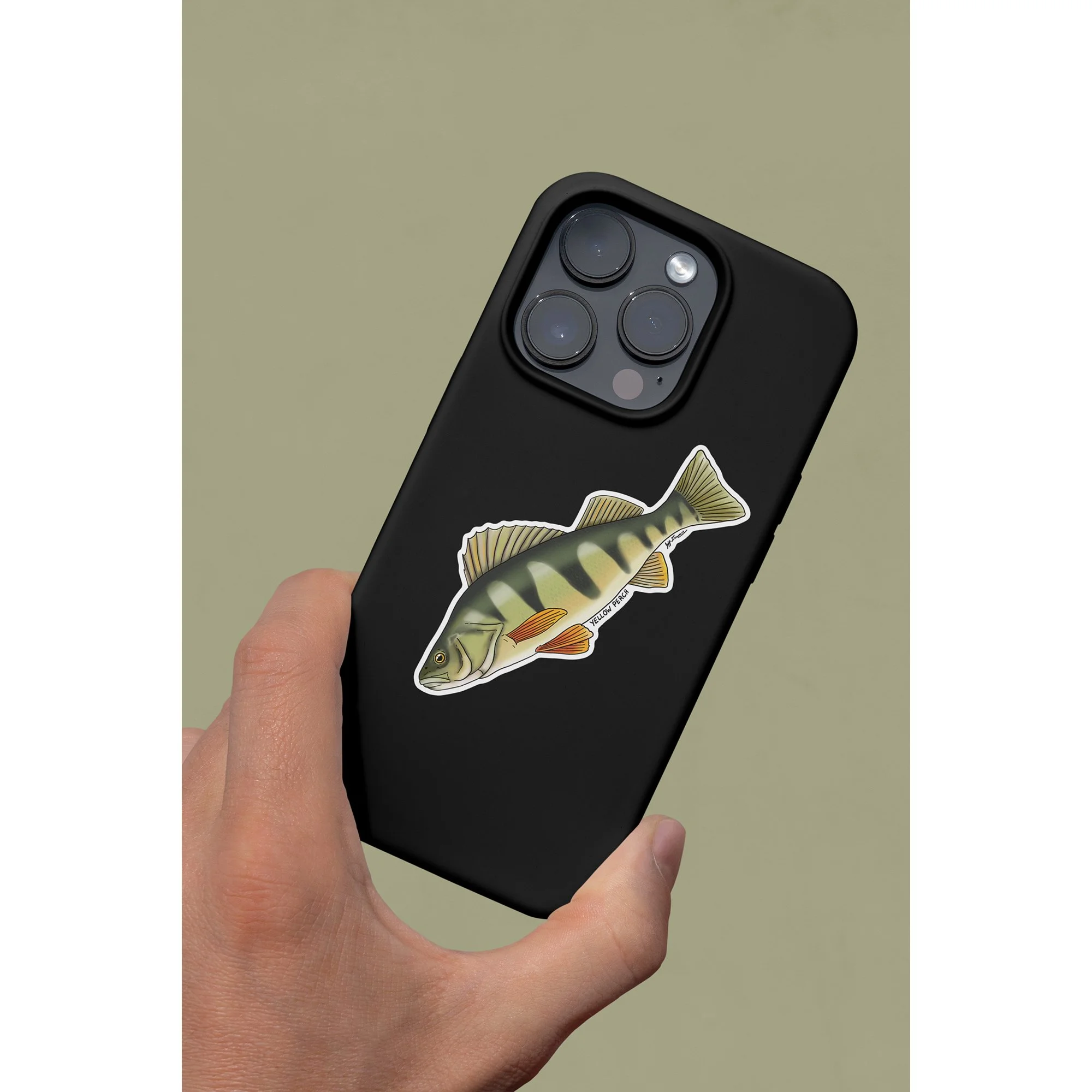 perch_phone.jpg