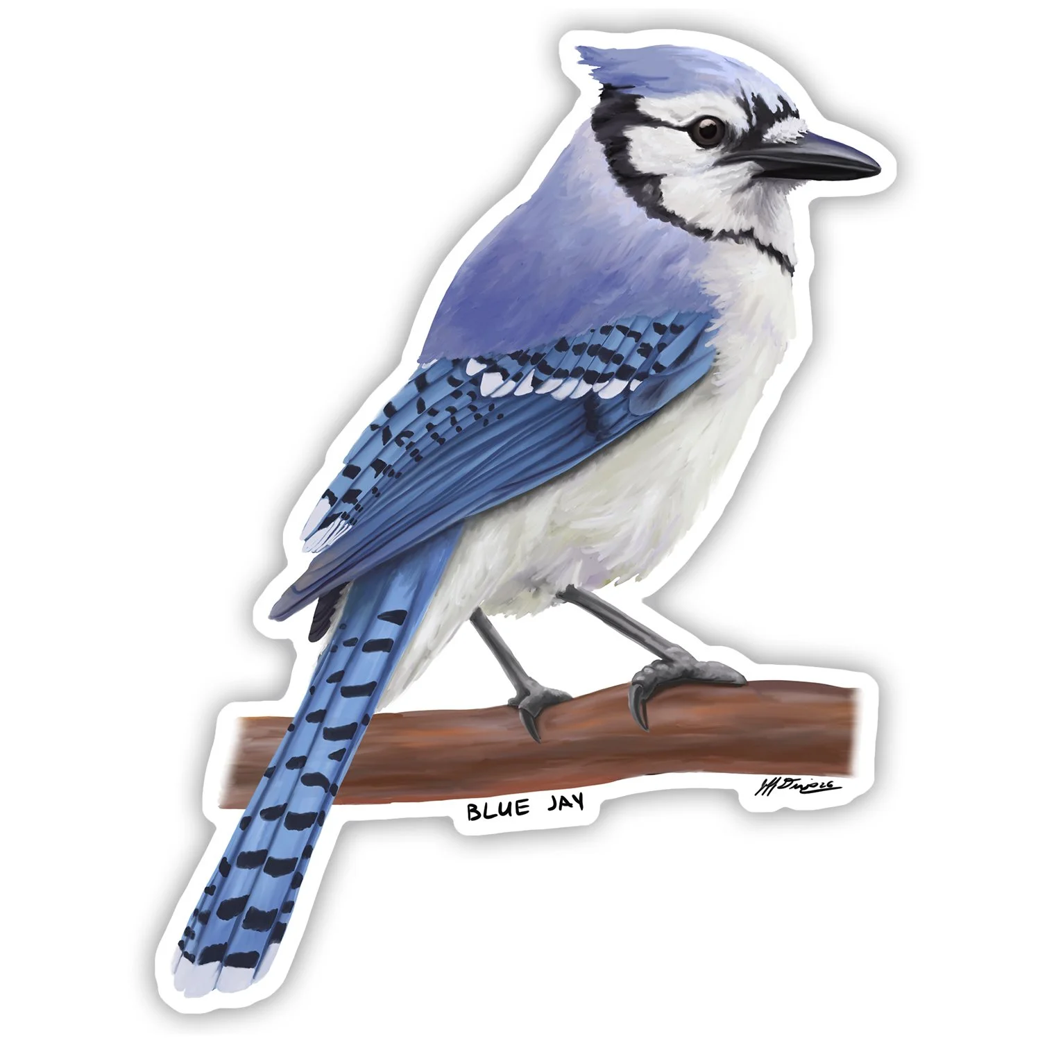 Blue Jay