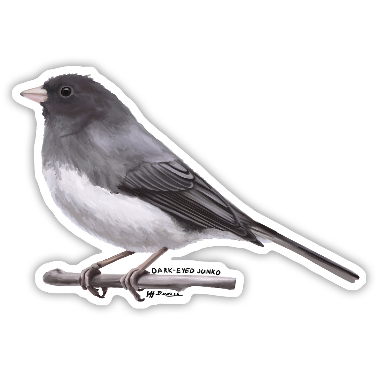 Dark-Eyed Junco