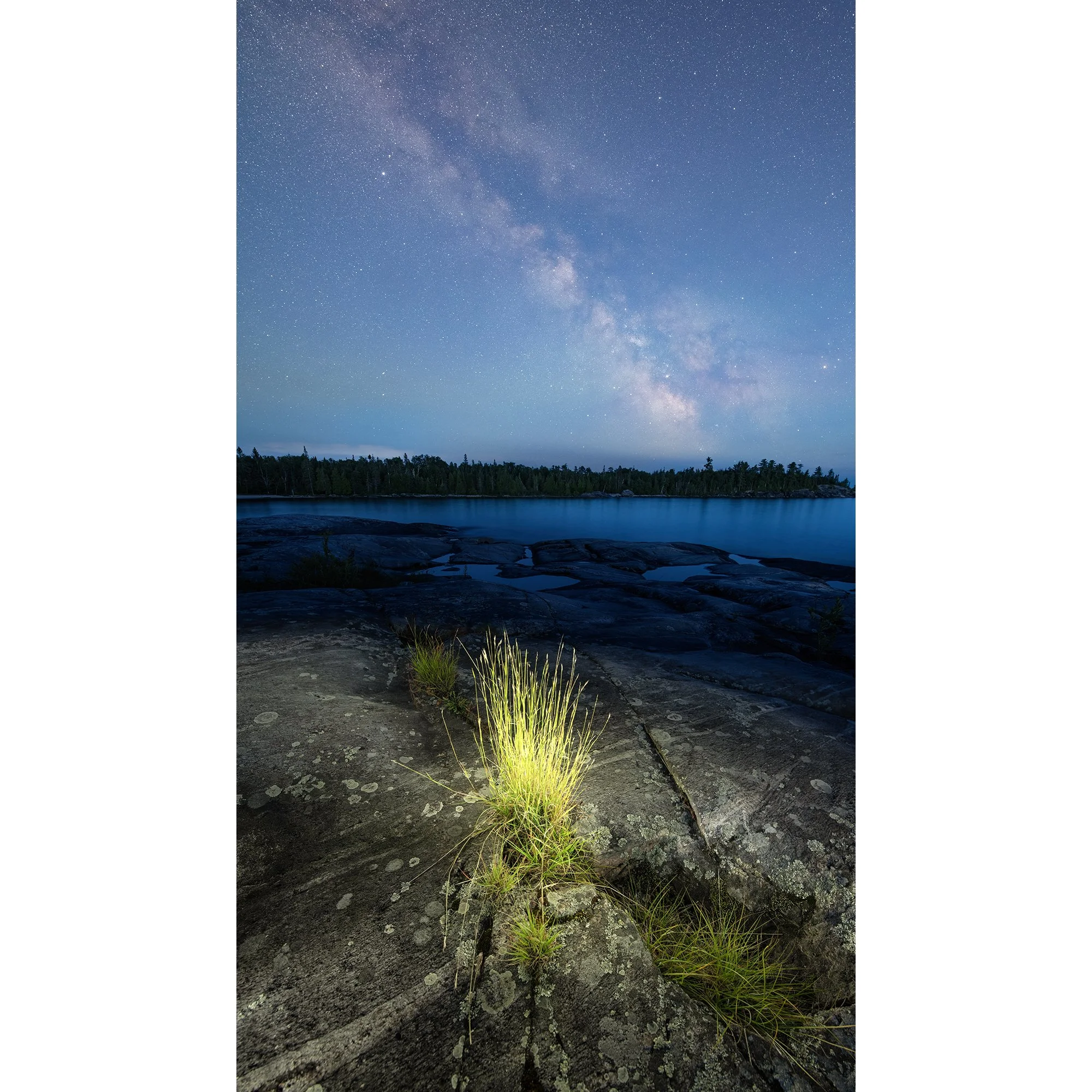 Light-Painted Grass at Katherine Cove