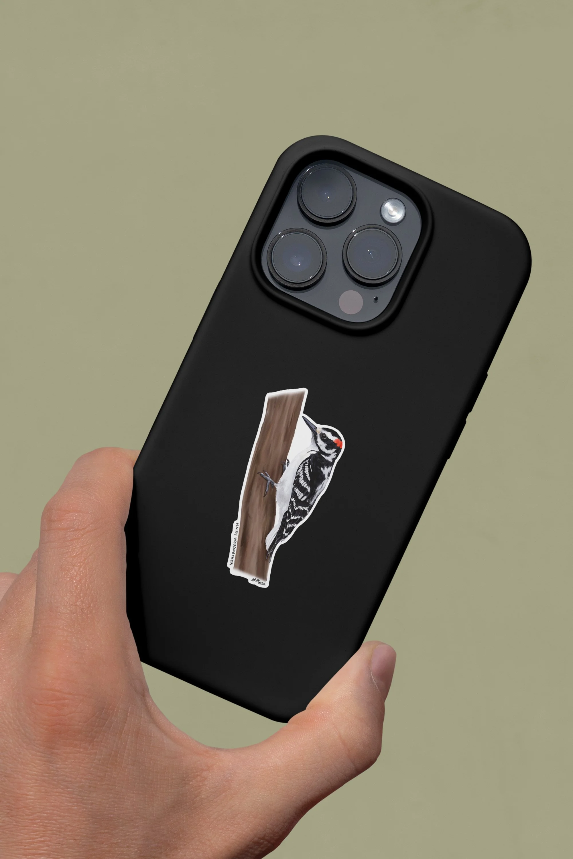 hairy_wodpecker_phone.jpg