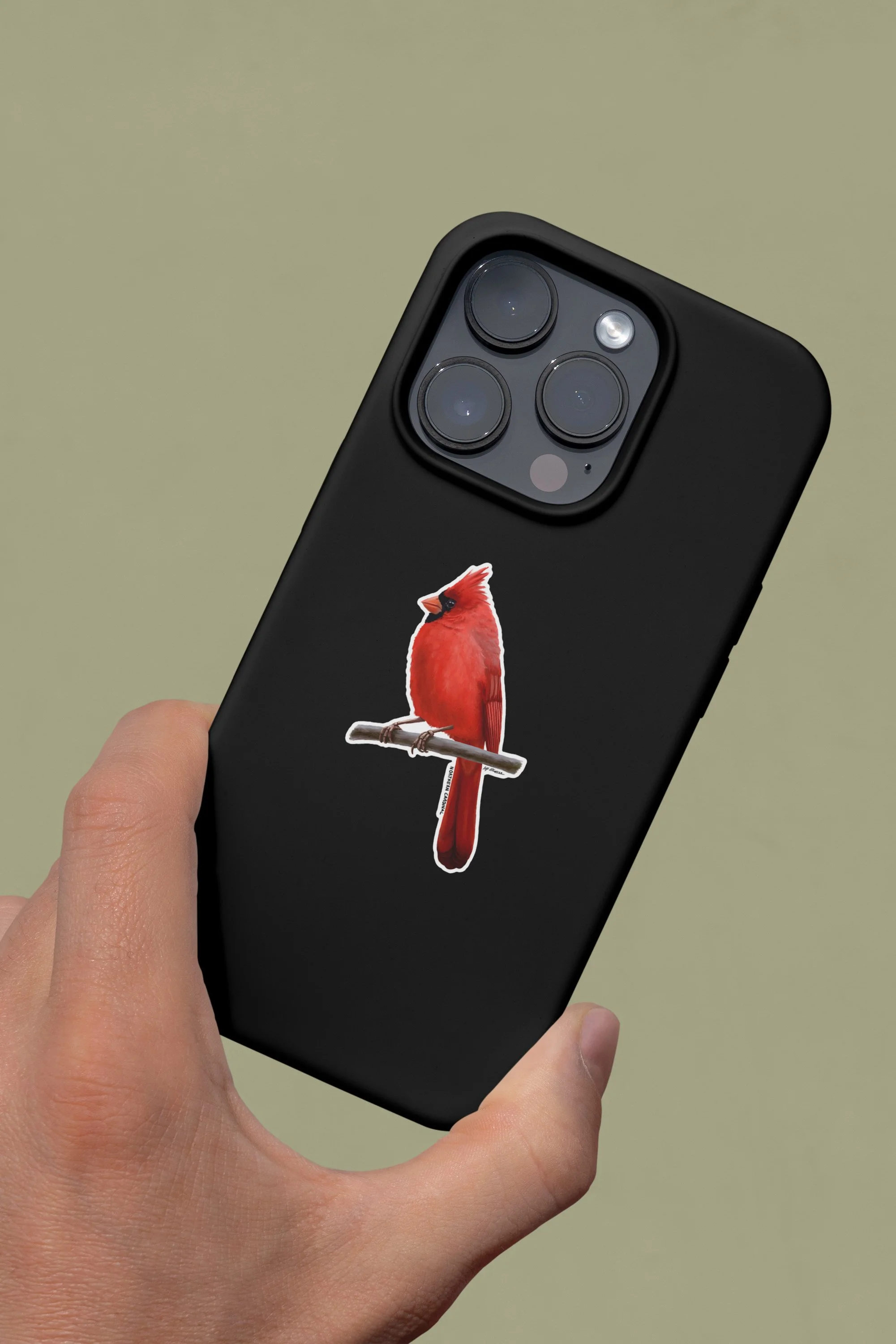 cardinal_phone.jpg
