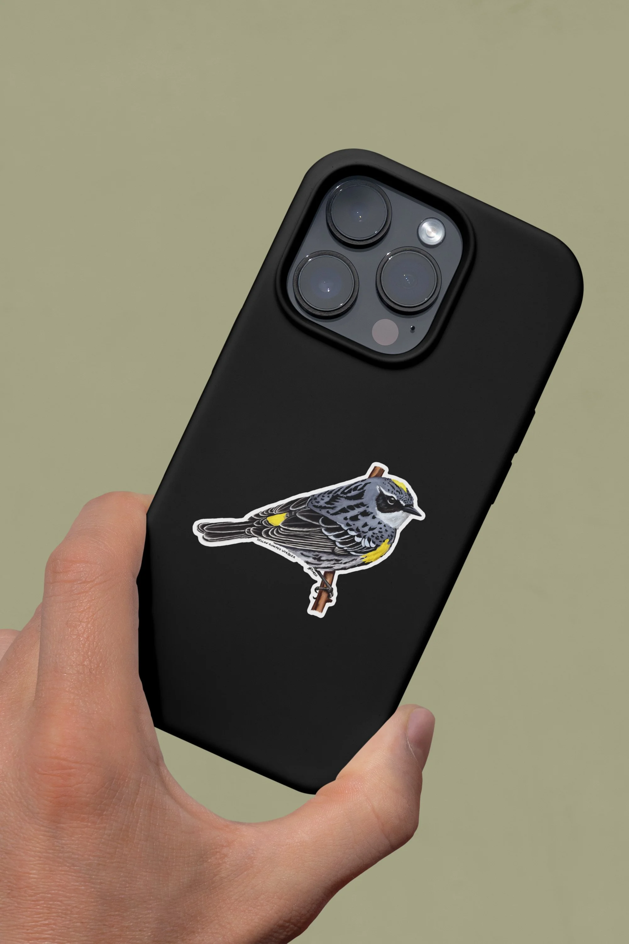 yellow_rumped_warbler_phone.jpg