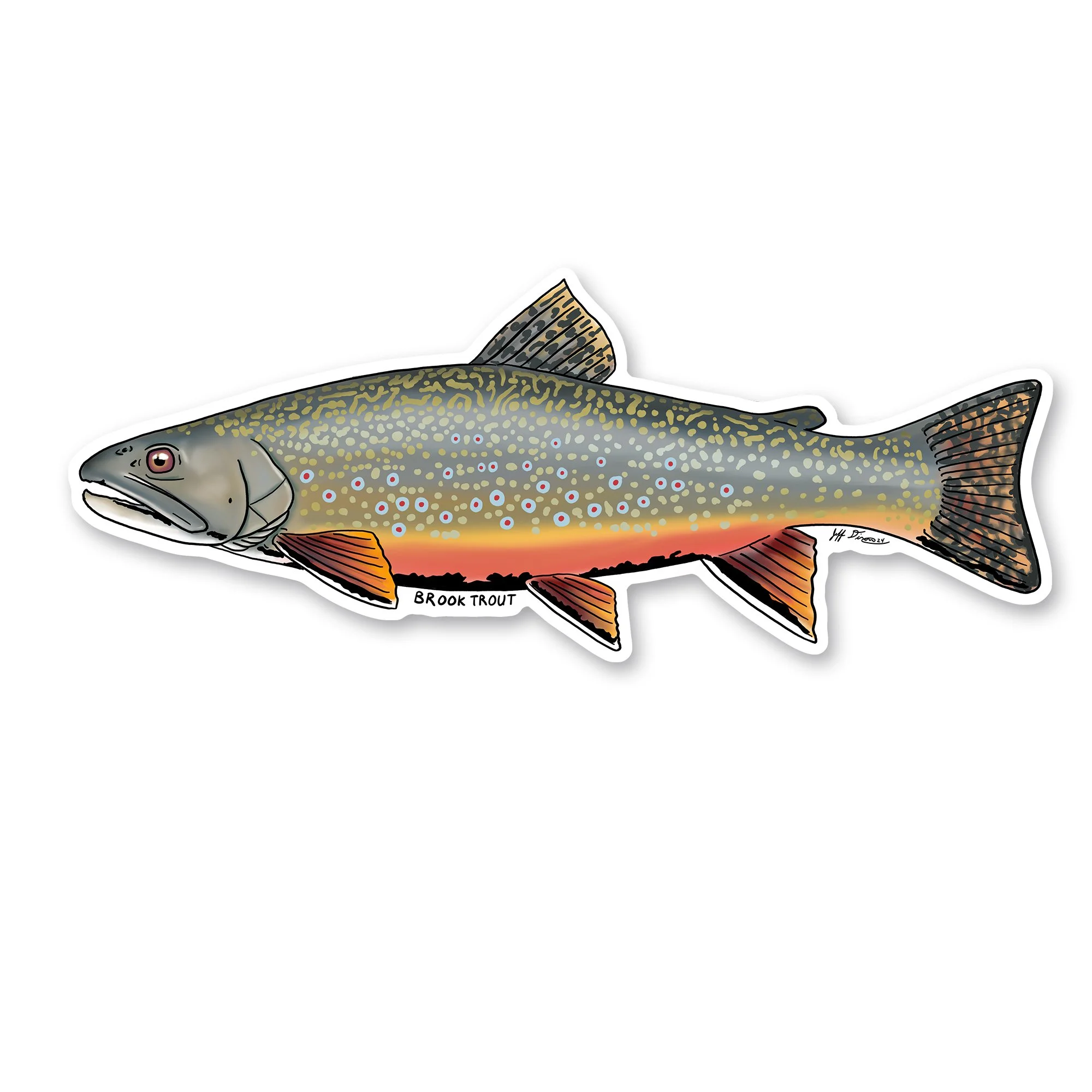Brook Trout