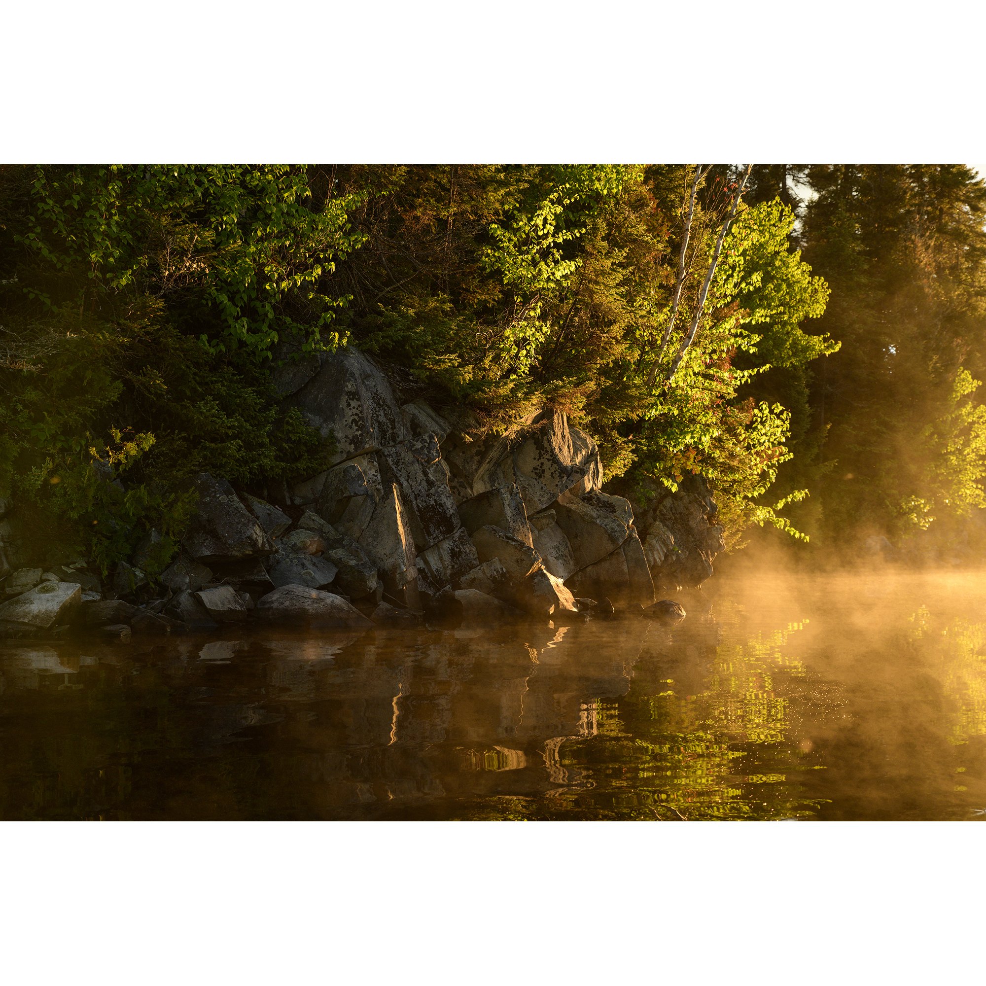 Morning Light