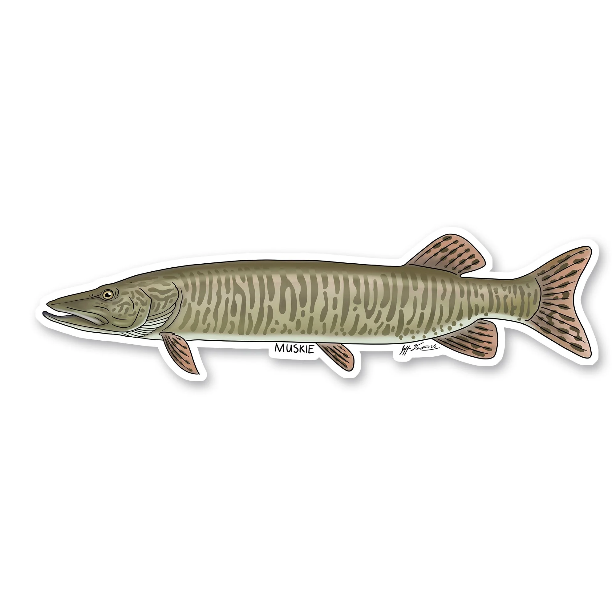 Muskie