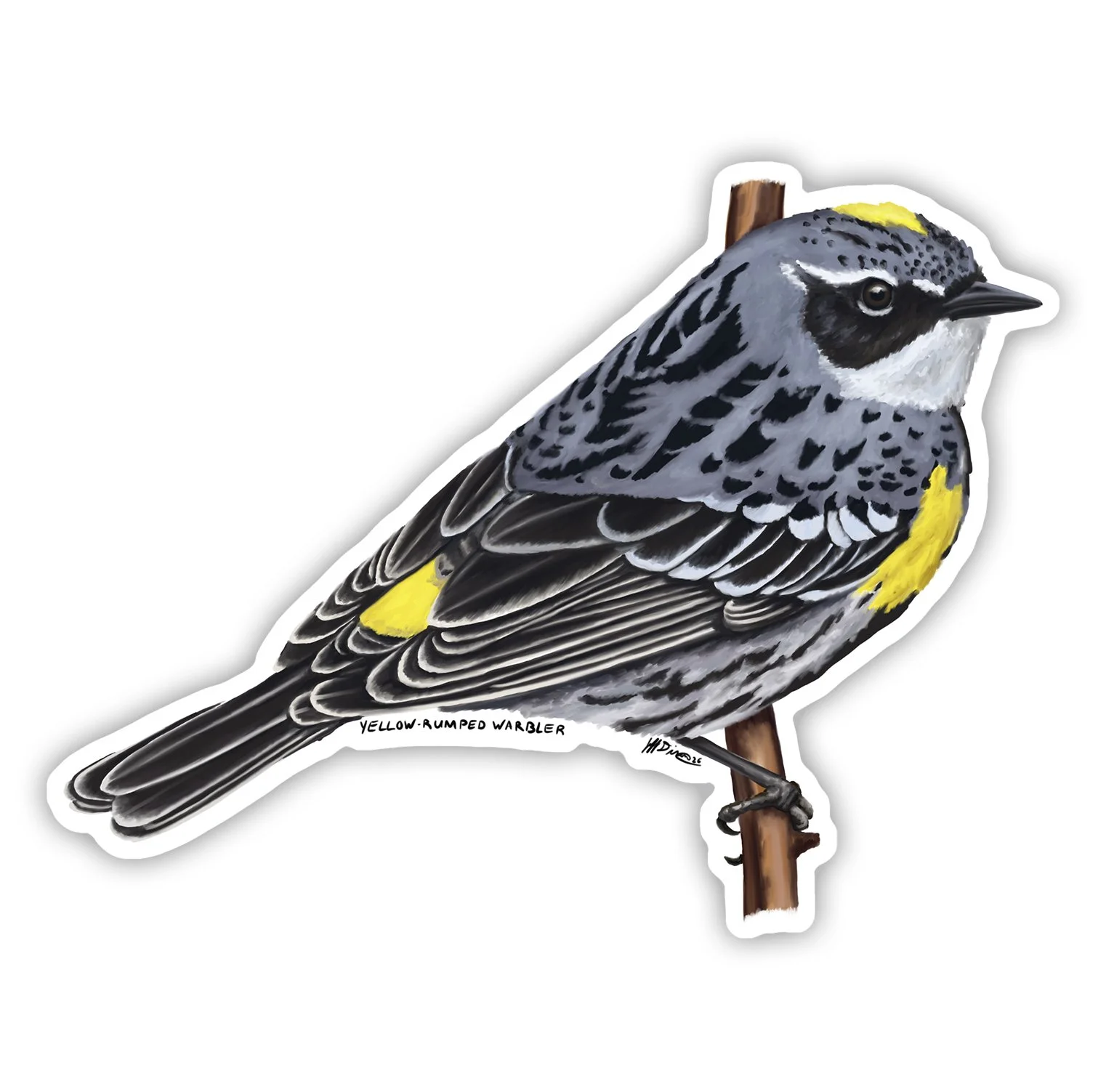 Yellow-Rumped Warbler