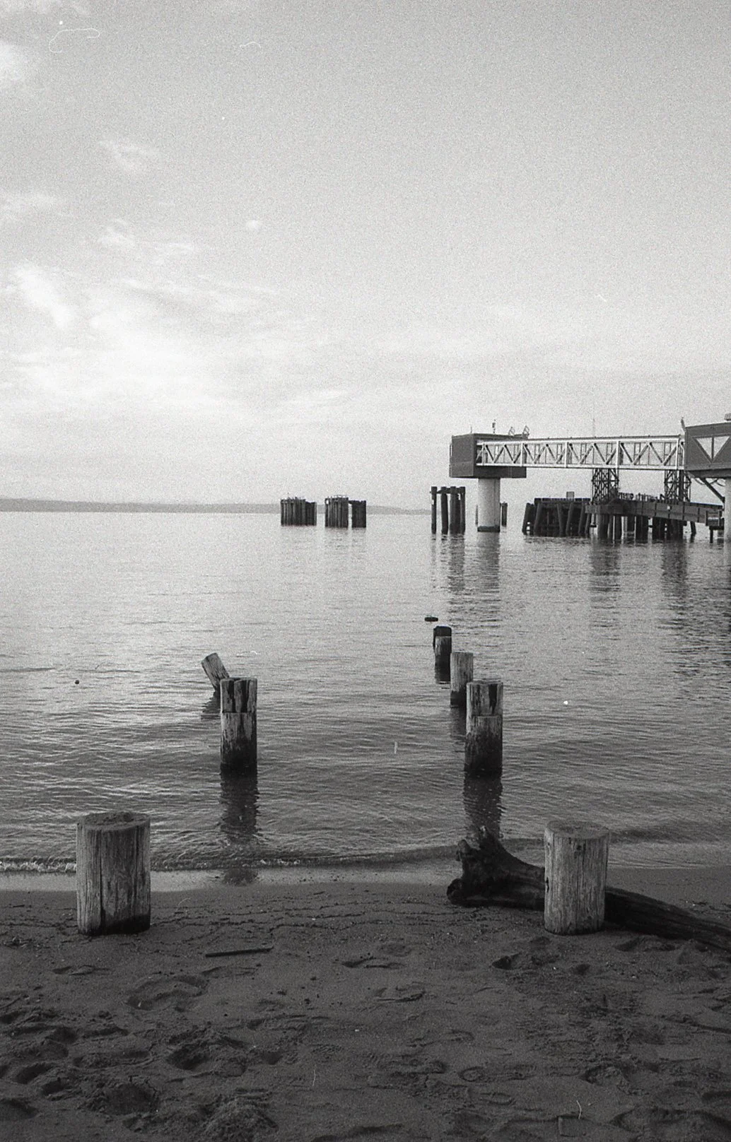 img006jpg.jpg