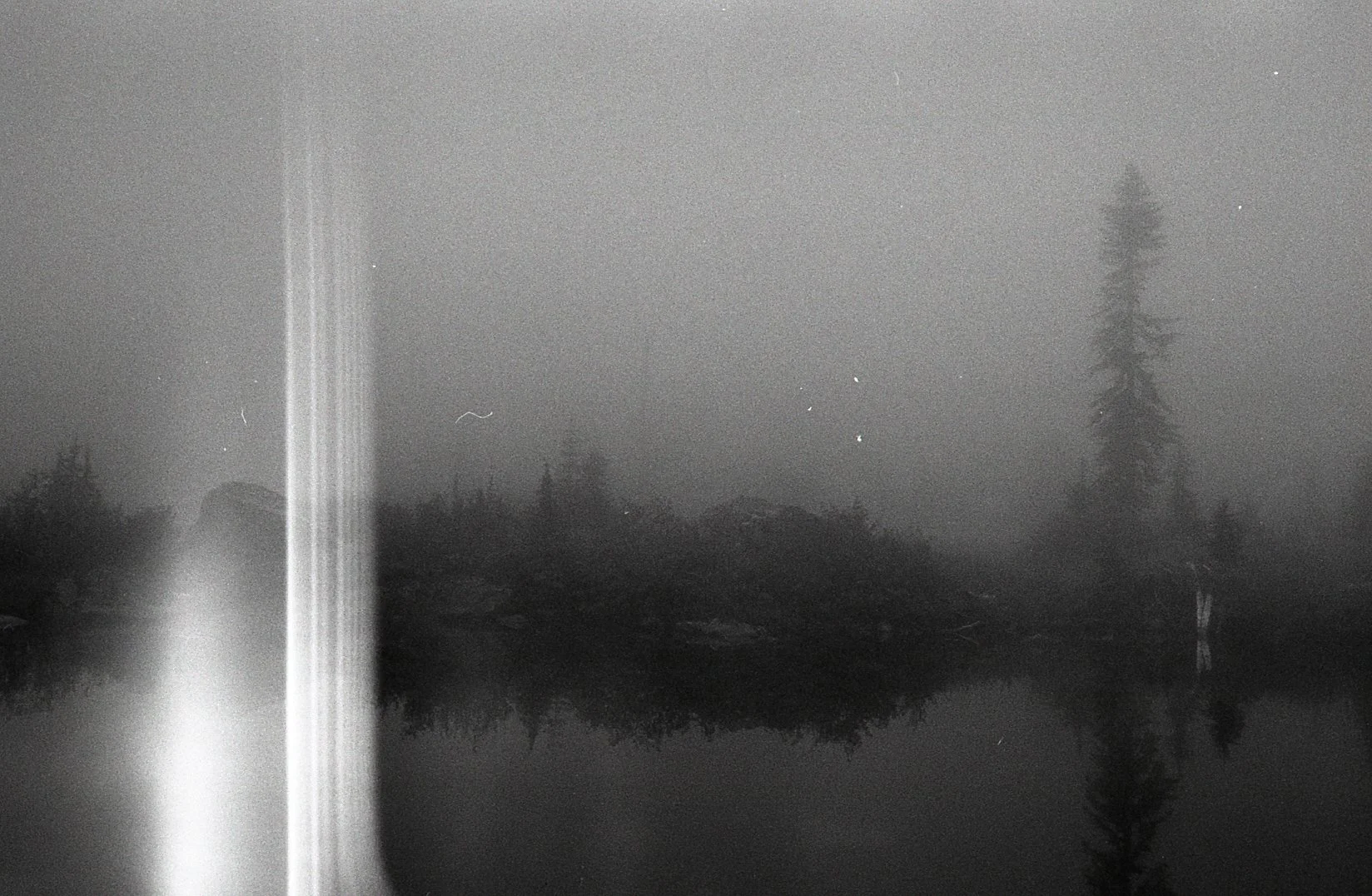img003jpg.jpg