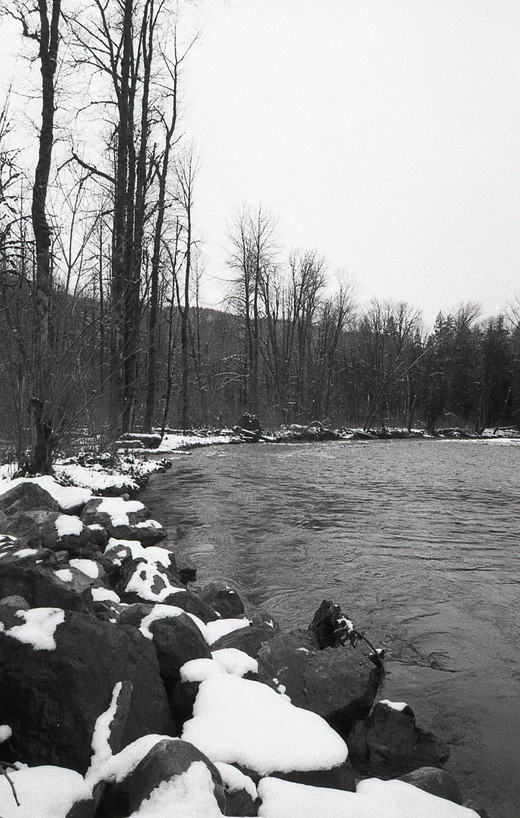 img023jpg.jpg