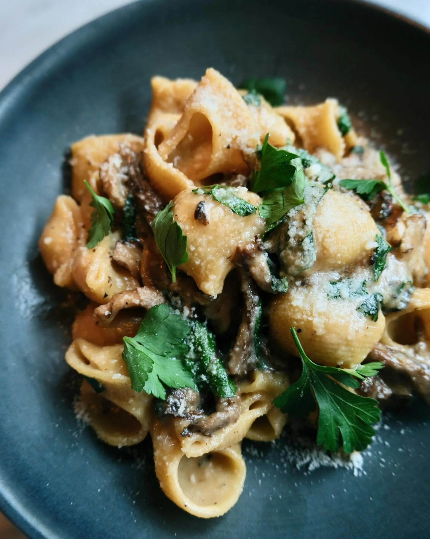 Lumache with roasted maitake &amp; oyster mushrooms, garlic &amp; cr&egrave;me fra&icirc;che puree. A beloved Tonino classic, extruded in-house and rich with umami 🍄✨

🐌👀 Did you know, lumache translates to &ldquo;snails&rdquo; in Italian, referri