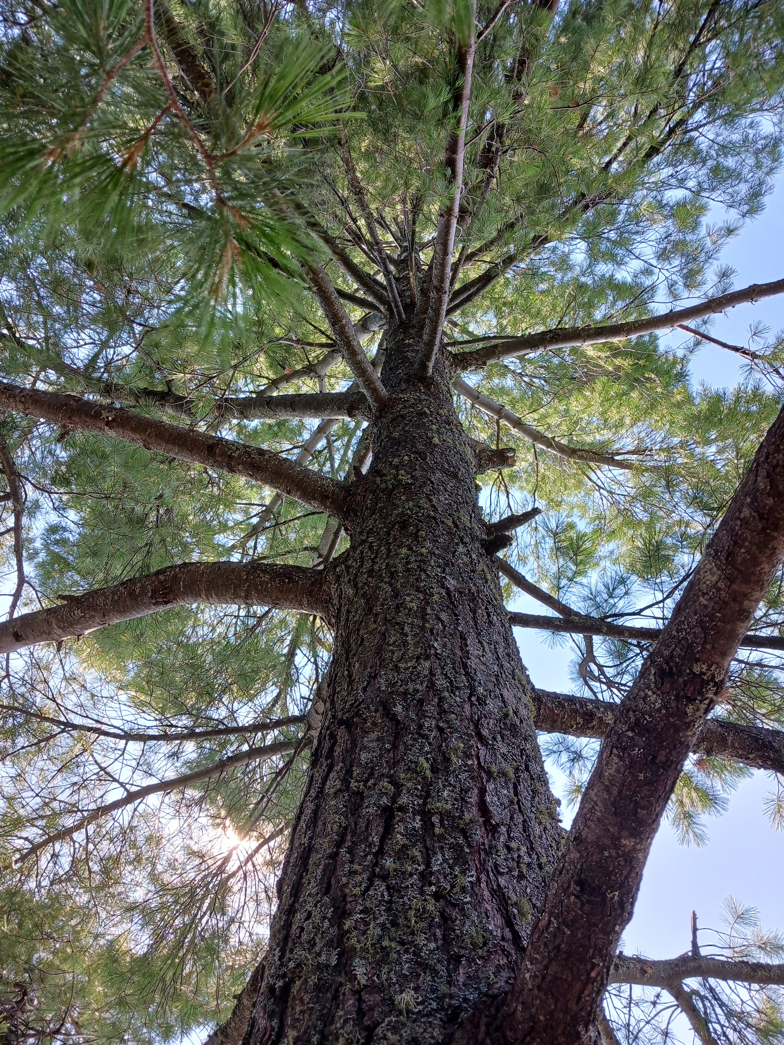 20230802_155520.jpg