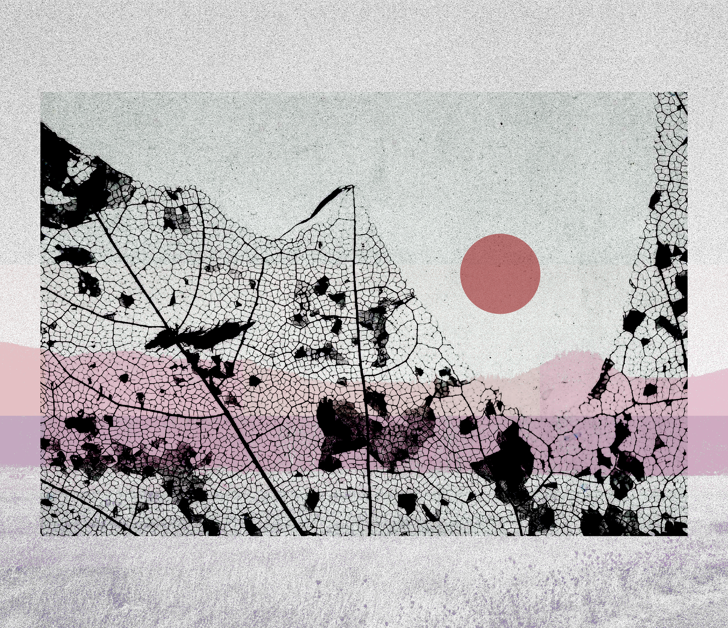 red sunset.png