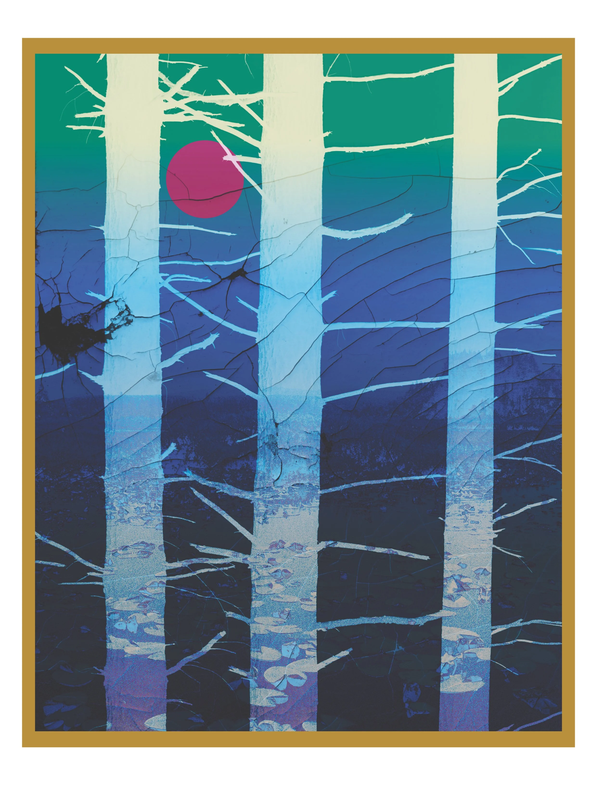 deep tree sunset.jpg