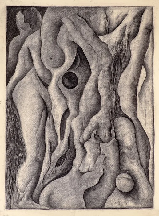 Wolfgang Jasper, "Inventing Eve" 30x22.5 inches, charcoal on rag paper