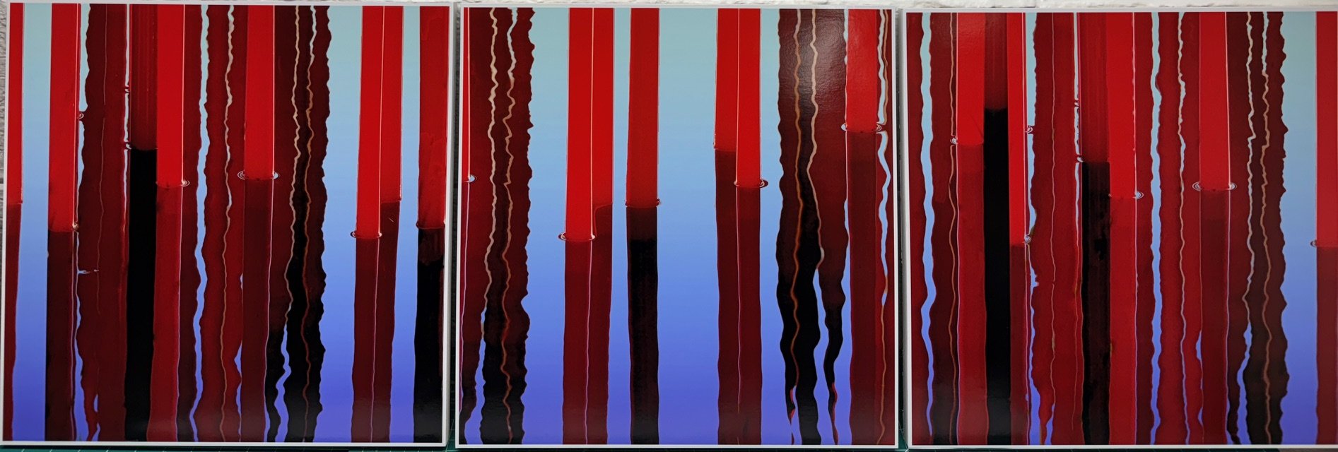 Carl Patow, Red Reeds Reflected, Triptych, Photography