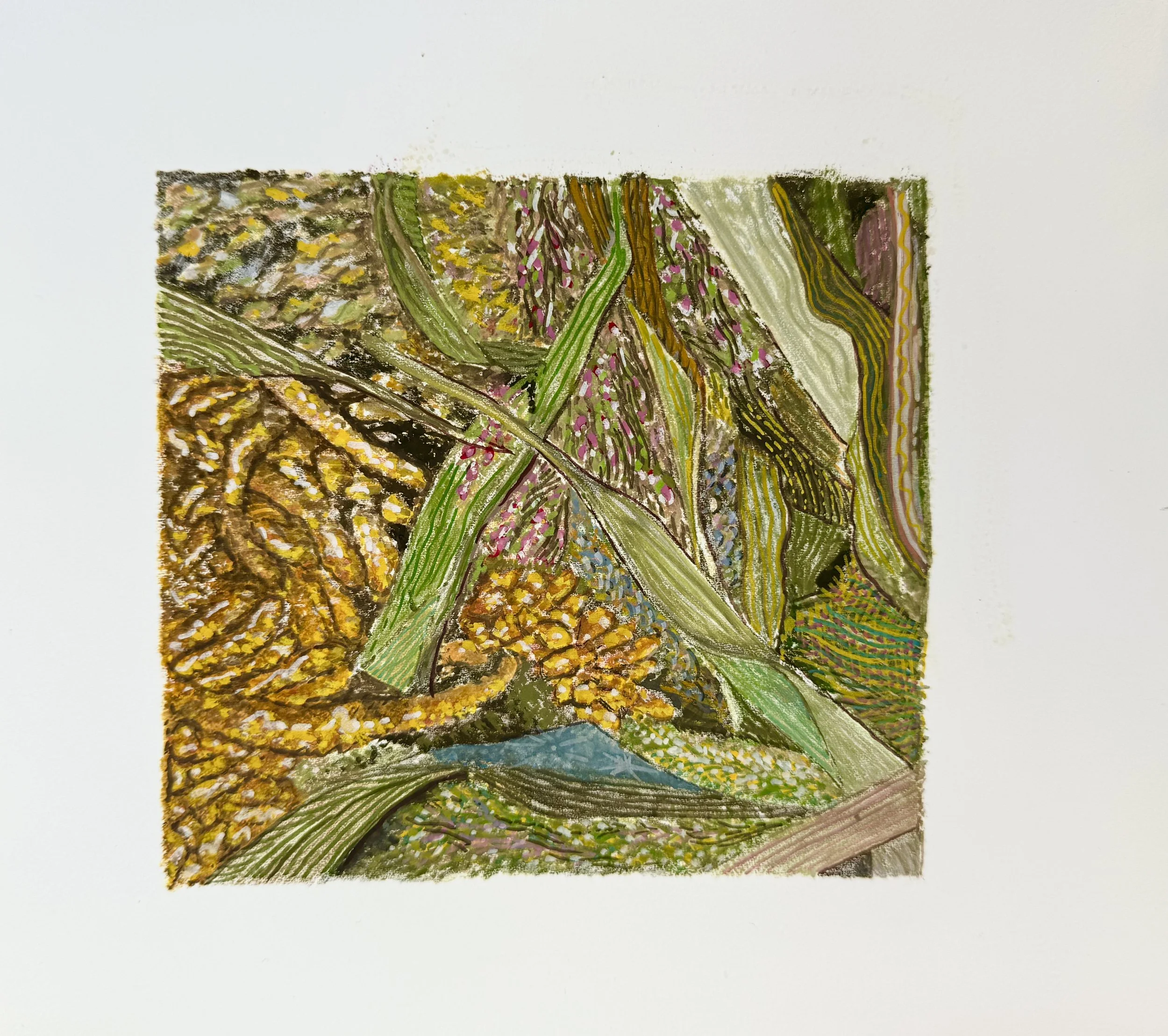 Janet Scagnelli / LUCCA #4, Gouache monoprint