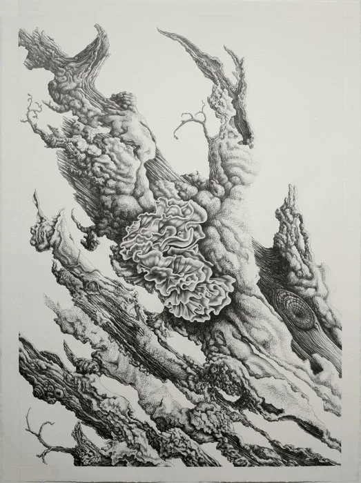 Gerry Bannan, "Sweet Decay", 30x22 inches, Graphite on Arches