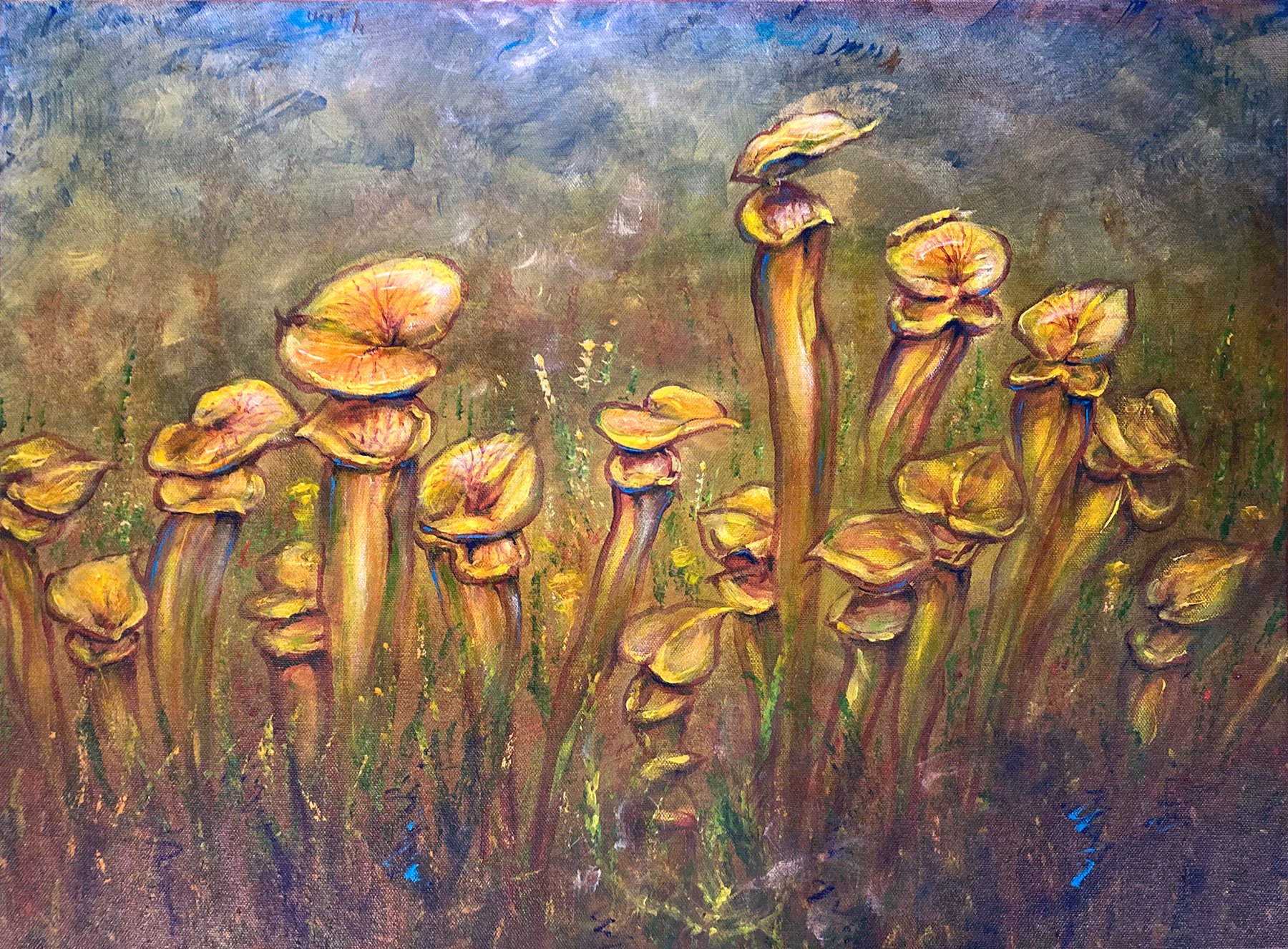 Pitcher Elegance
Site: Lewis Ginter Gardens, RVA
Medium: acrylics on canvas
Art dimensions: 18" x 24"