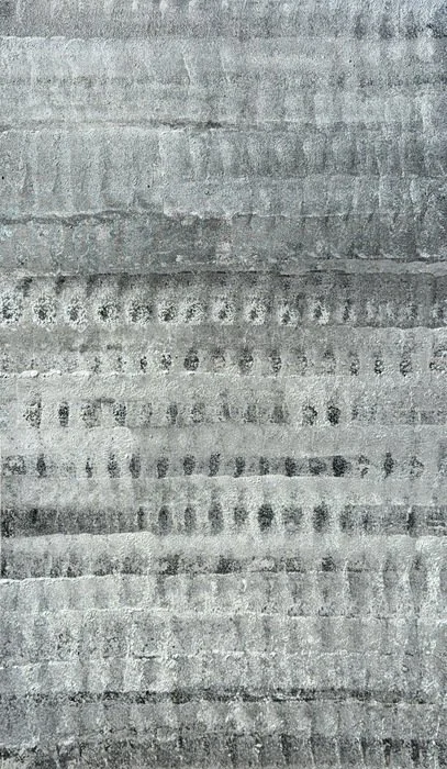 Arvid Choudhury, "Interior Consideration [X-RAY]", 60x36 inches, mixed media