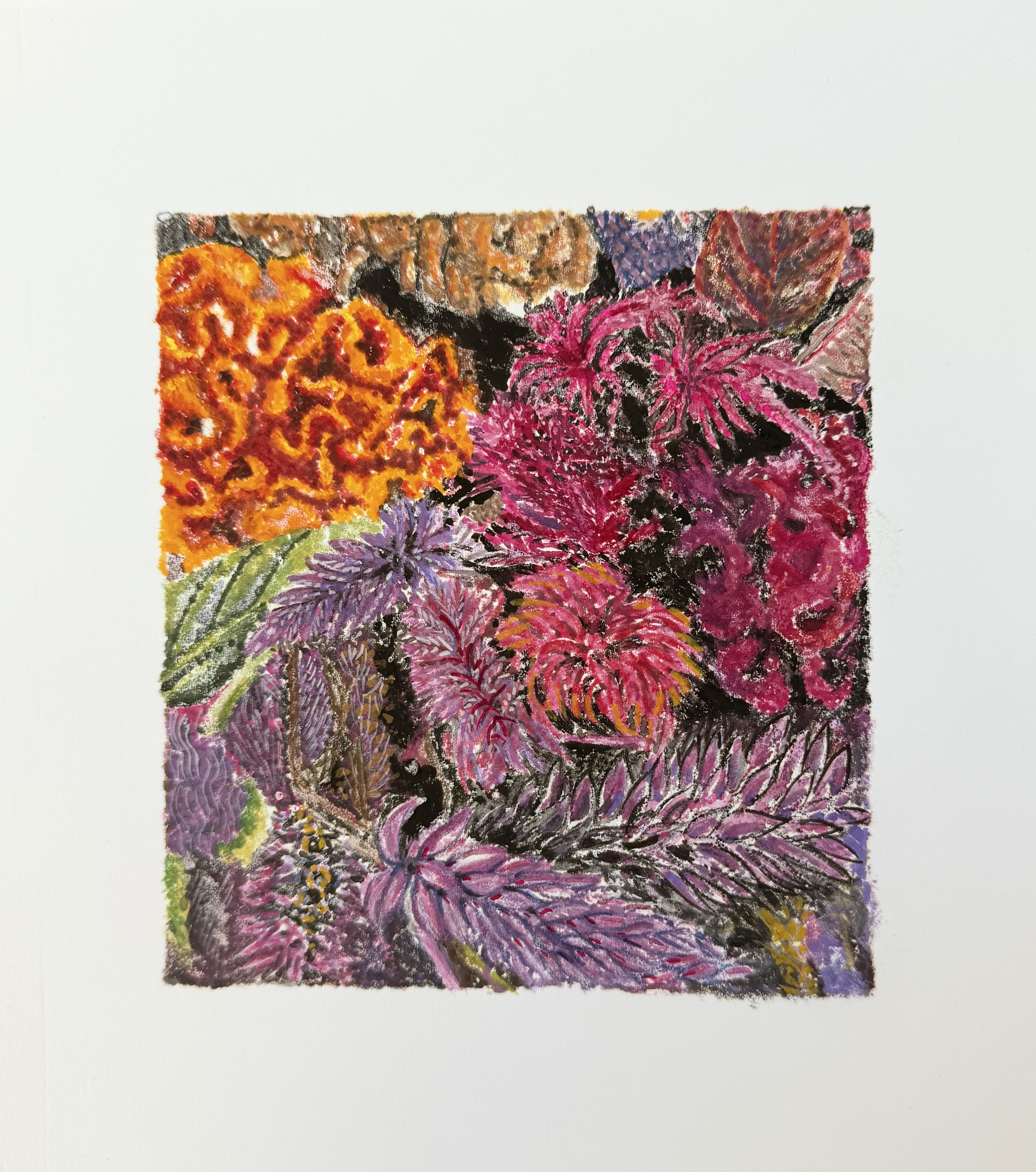 Janet Scagnelli / LUCCA #3, Gouache monoprint