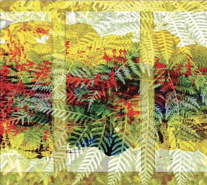 Fern Garden 
Art/Photo Manipulation
15.25” x 17.25”