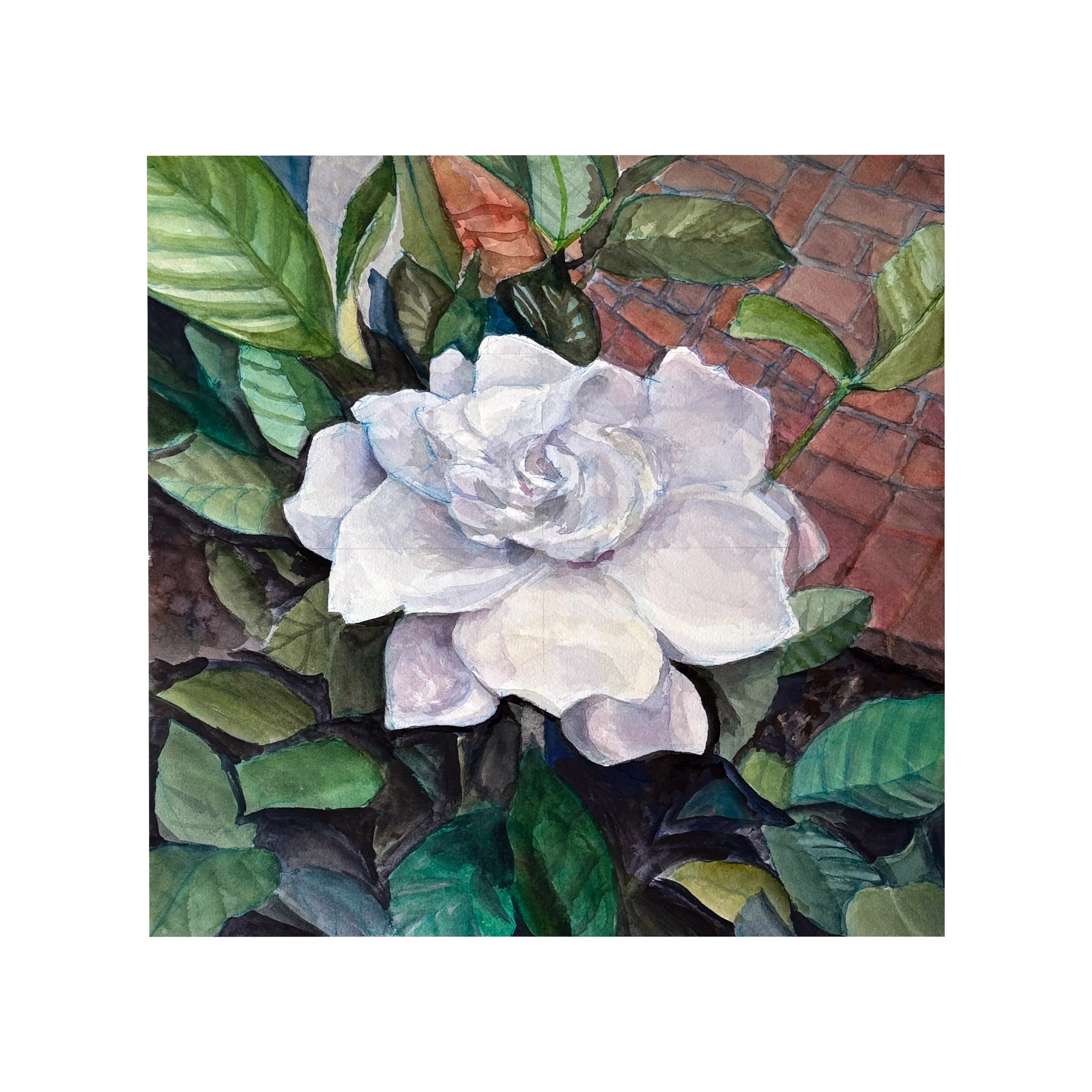 What We Saw While Walking – Gardenia
Watercolor on Arches Cold Press
24 x 24 inches