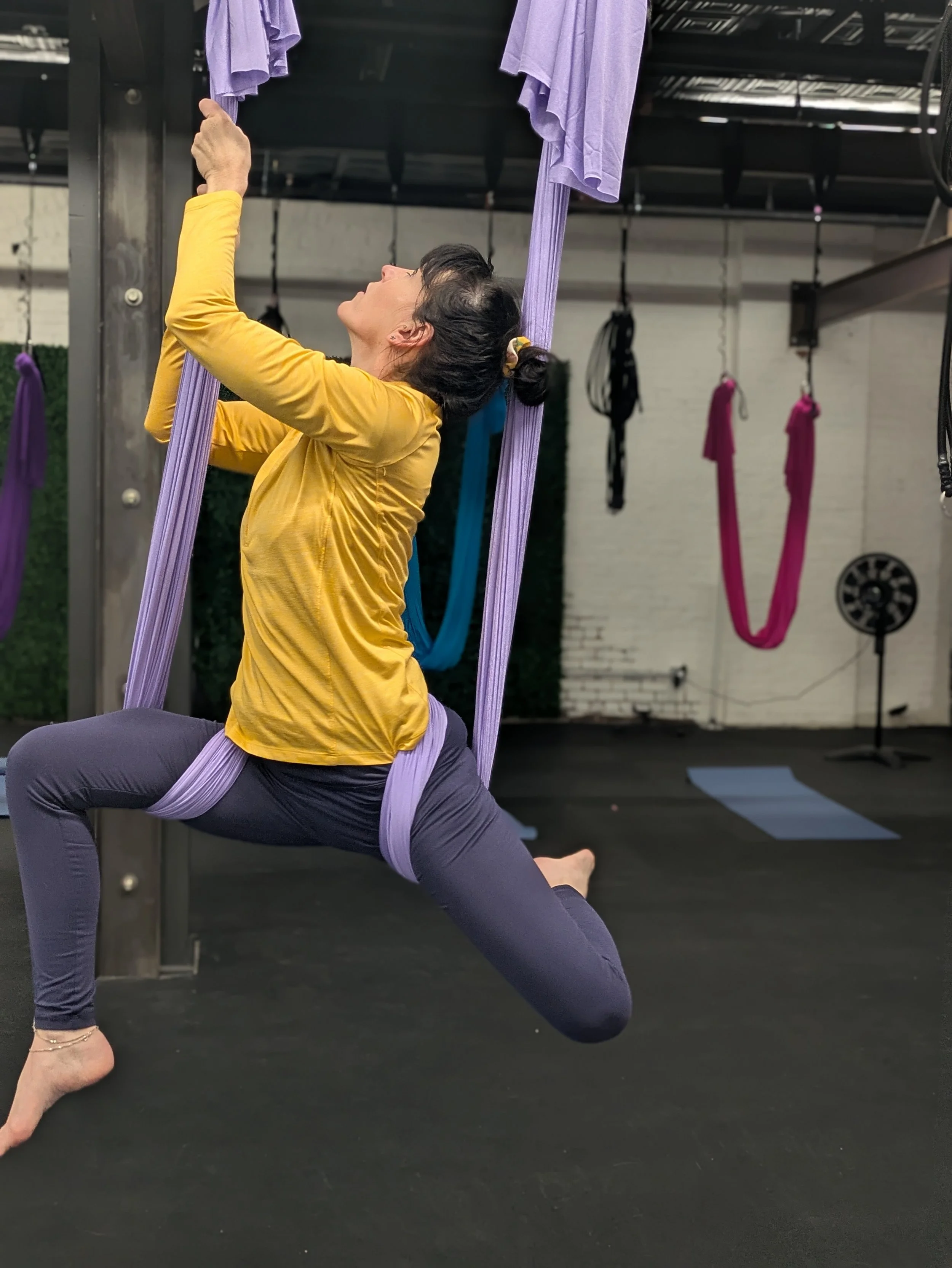 Aerial Yoga Teacher Training