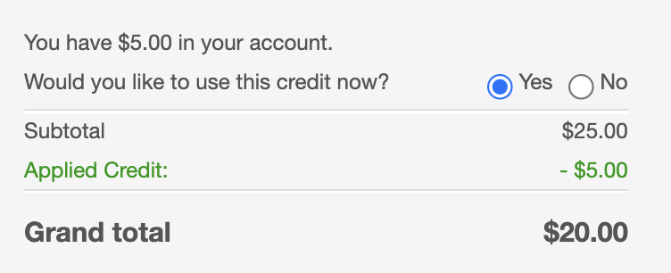 Online payment screen showing a $25 subtotal, a $5 applied credit, and a $20 grand total with a prompt to use a $5 credit.