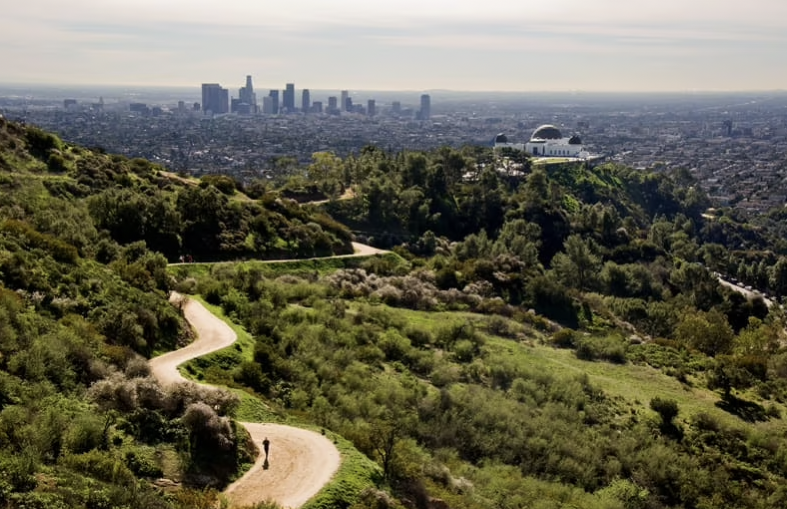 Women in Cleantech (Networking Hike)