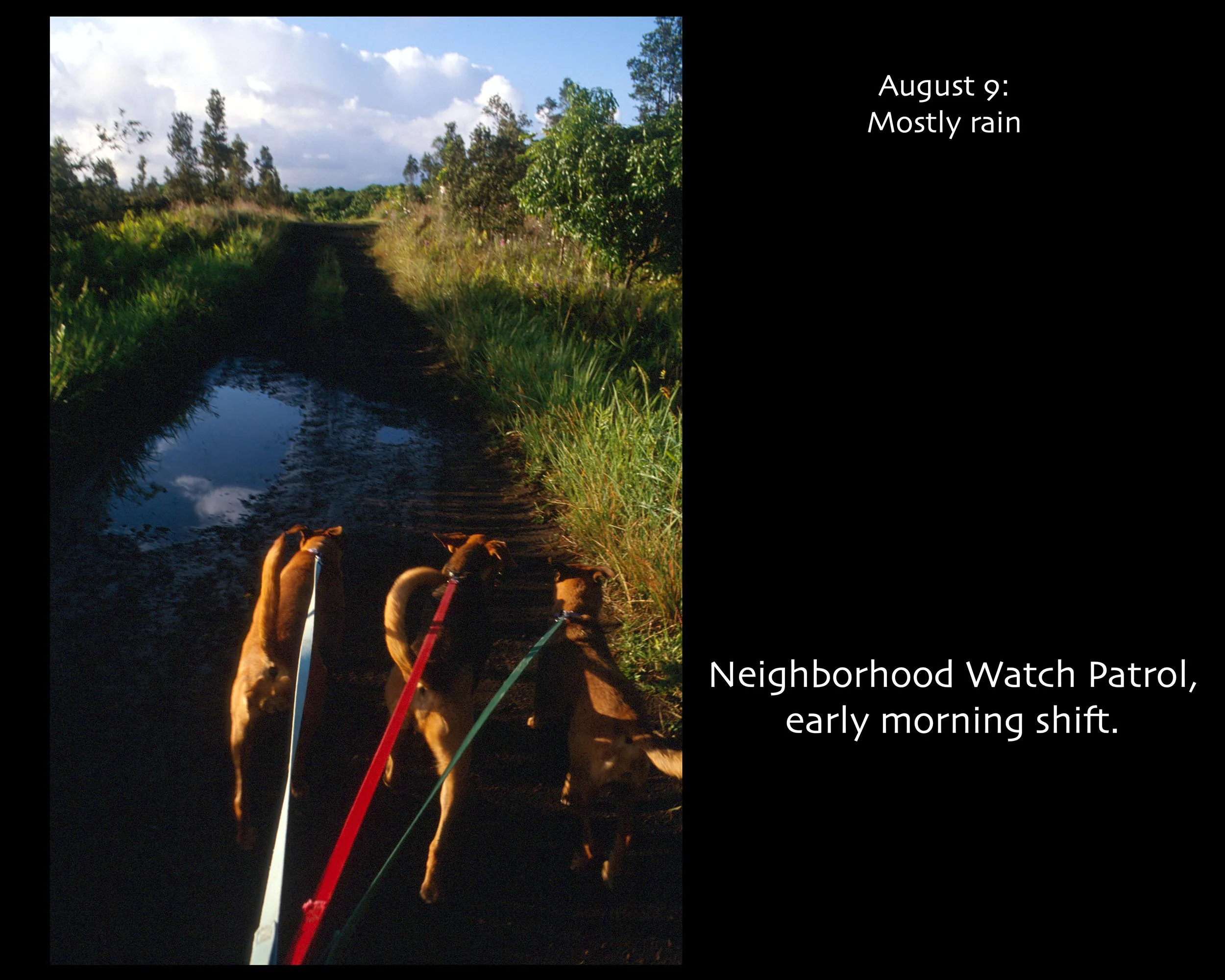 August 09_2500w x 2000h_AGD.jpg