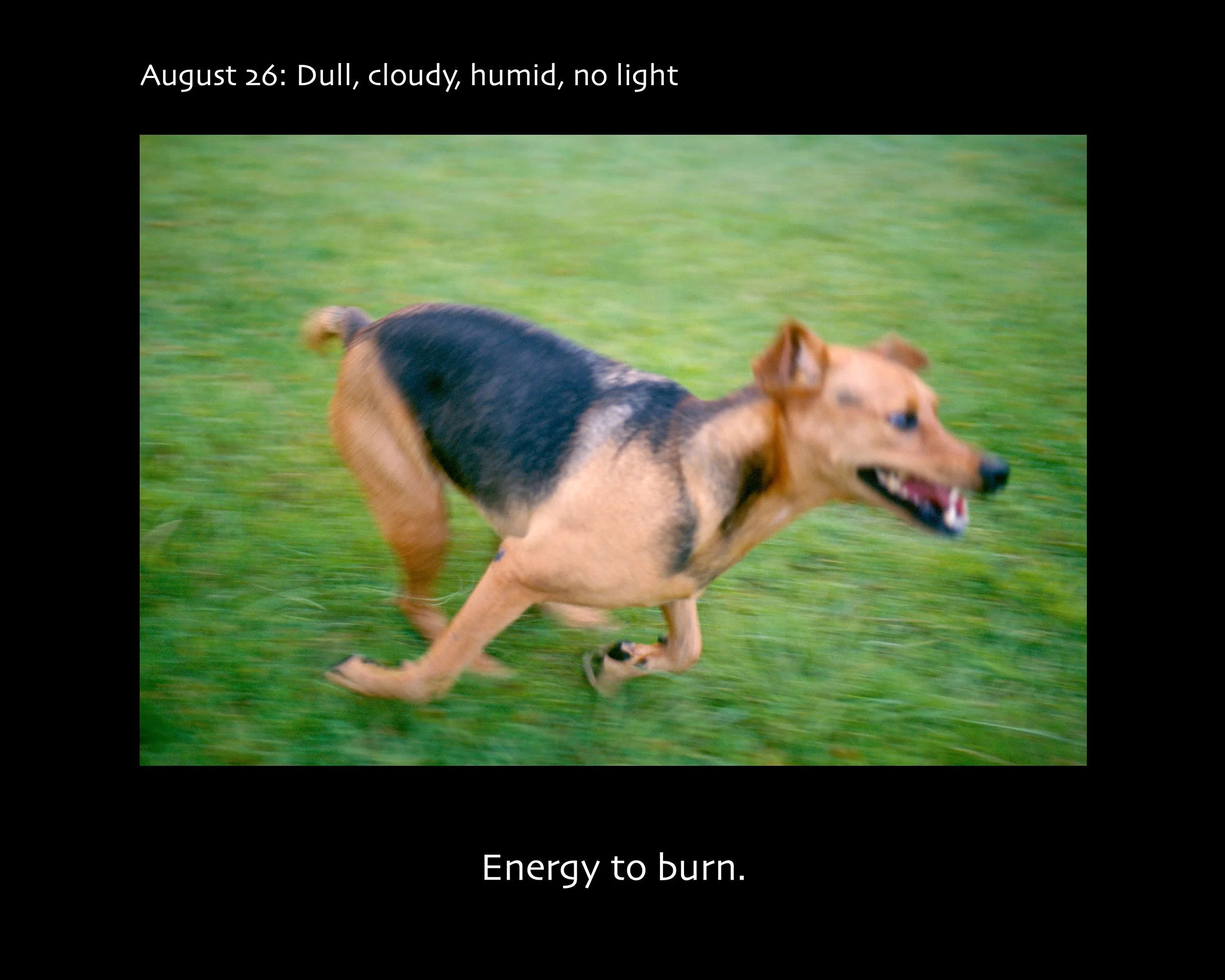 August 26_2500w x 2000h_AGD.jpg