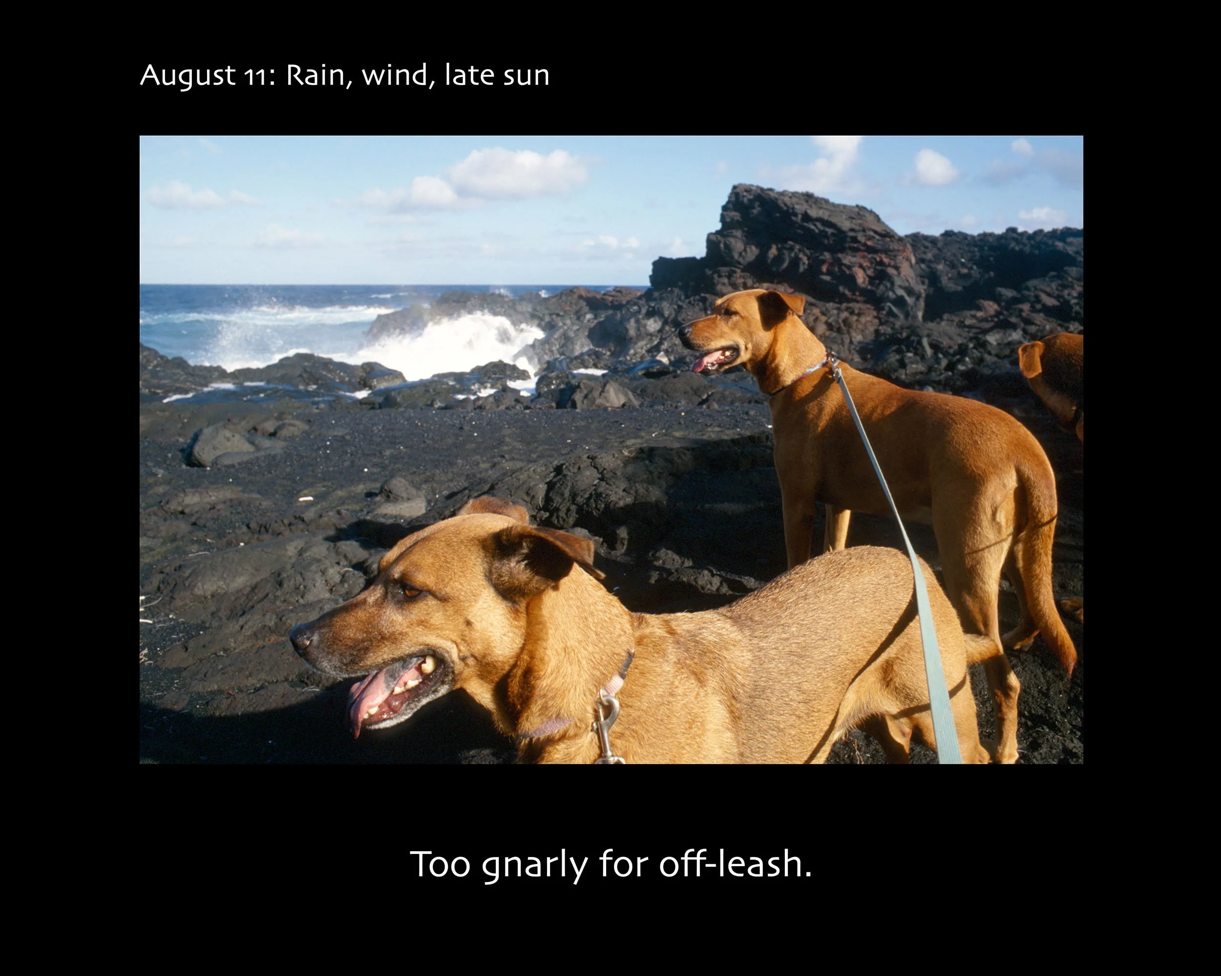 August 11_2500w x 2000h_AGD.jpg