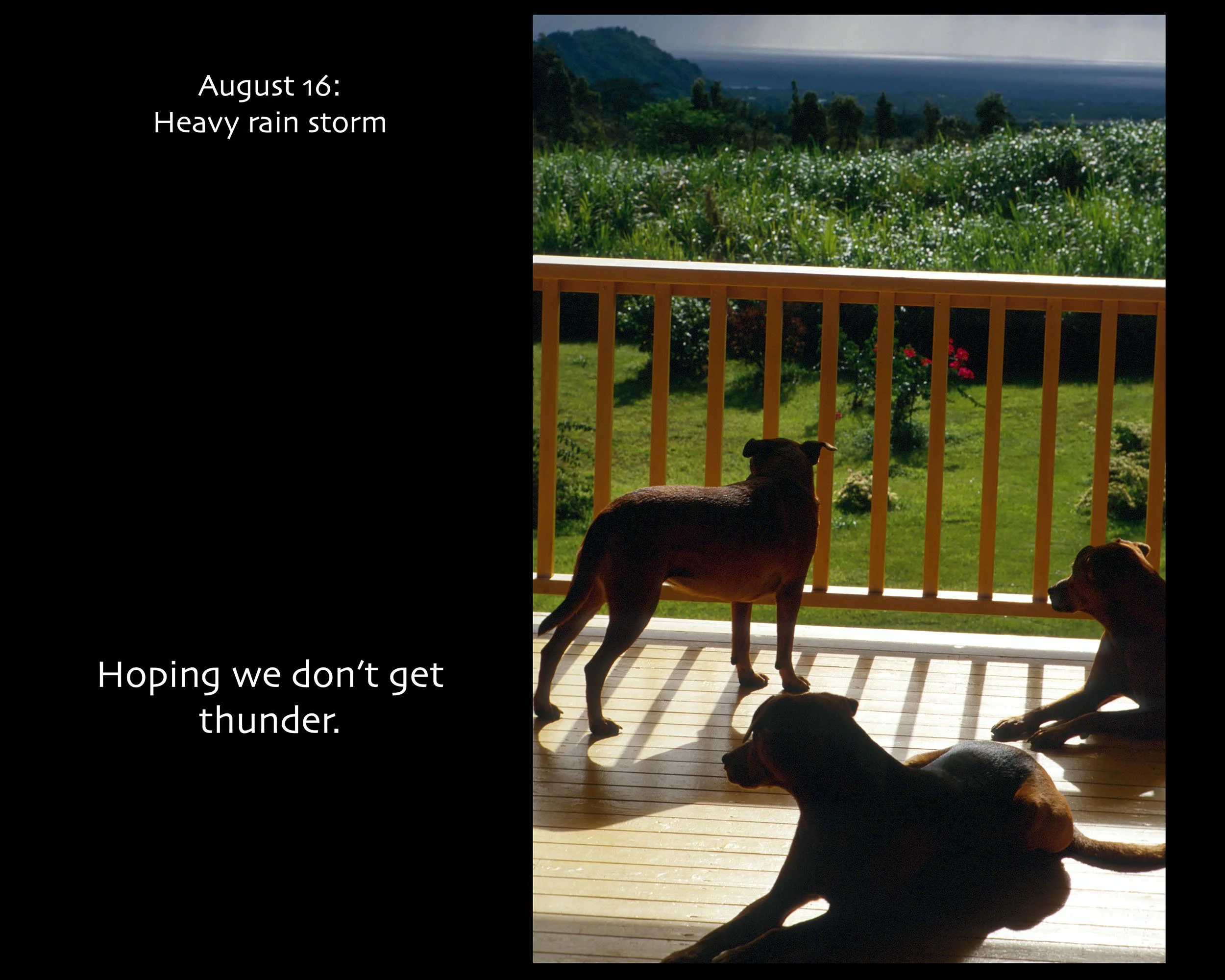 August 16_2500w x 2000h_AGD.jpg