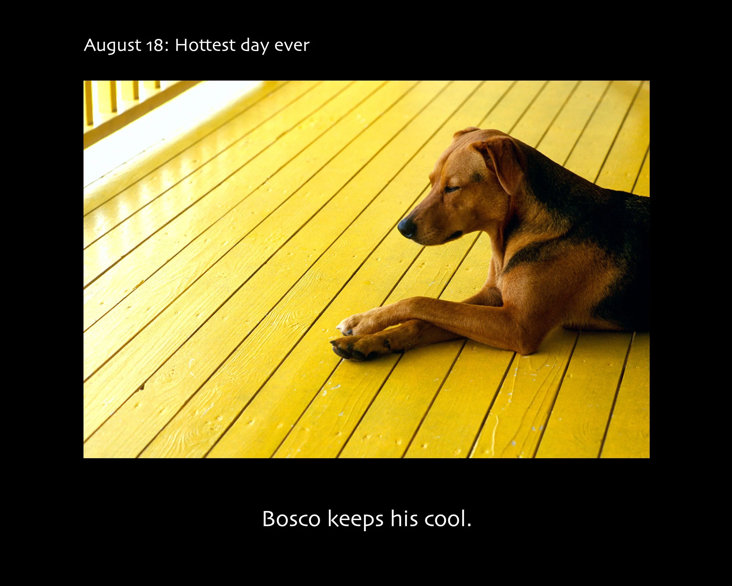 August 18_2500w x 2000h_AGD.jpg