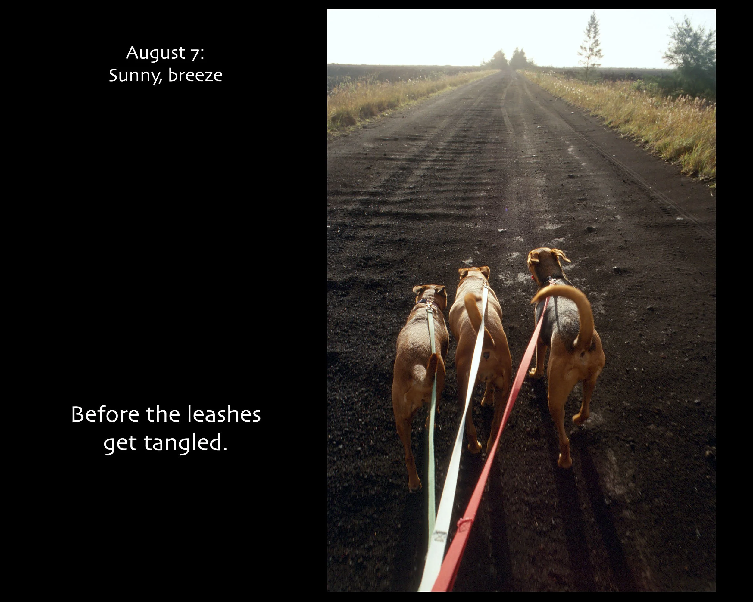 August 07_2500w x 2000h_AGD.jpg